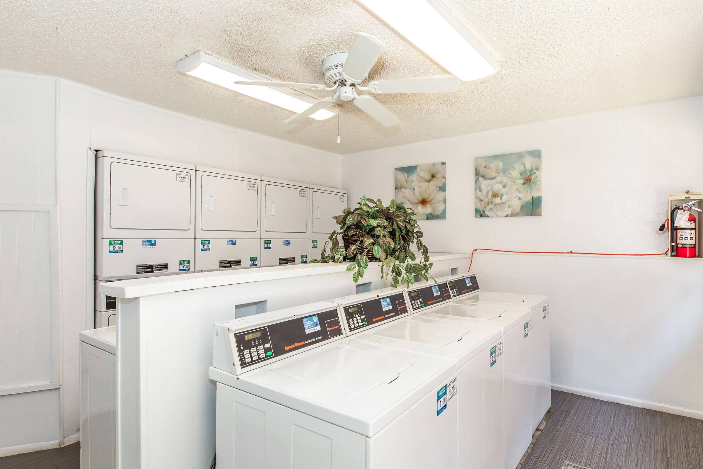 A clean and organized laundry room featuring several stacked washing machines and dryers. A ceiling fan is visible, along with a green potted plant on the counter. Two floral photographs hang on the wall, and a fire extinguisher is mounted nearby, ensuring safety in the facility.