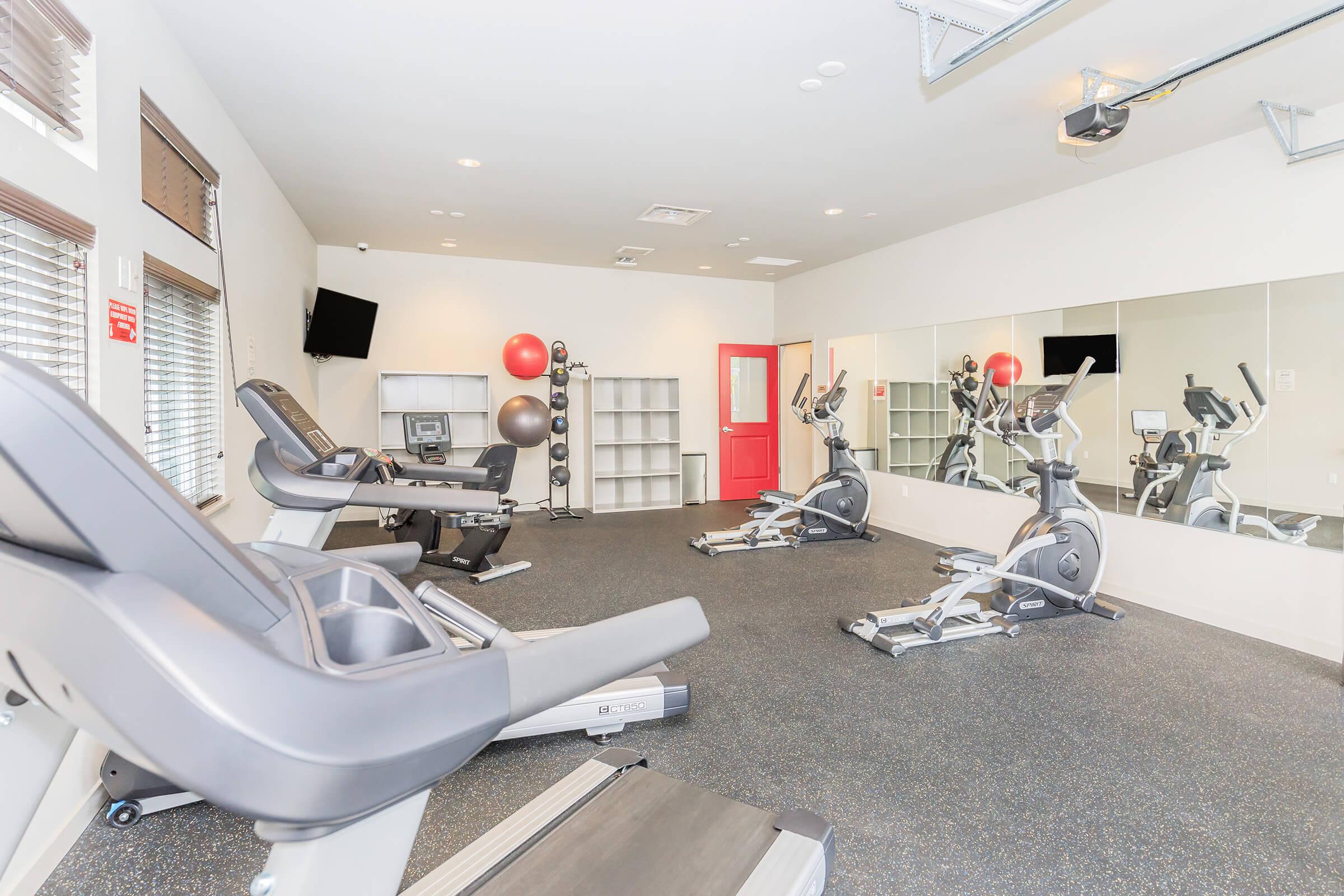 Indoor gym with various fitness equipment including elliptical machines, a treadmill, and exercise balls. There is a large mirror on one wall, a TV mounted on another, and a bright red door. The flooring is dark and rubberized, providing a suitable area for workouts.