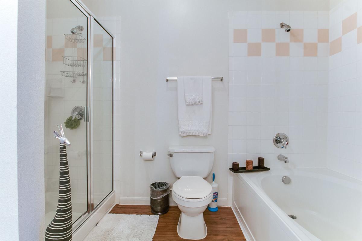 Master Bath 2.jpeg