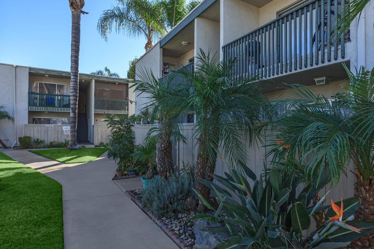 a palm tree in front of a house