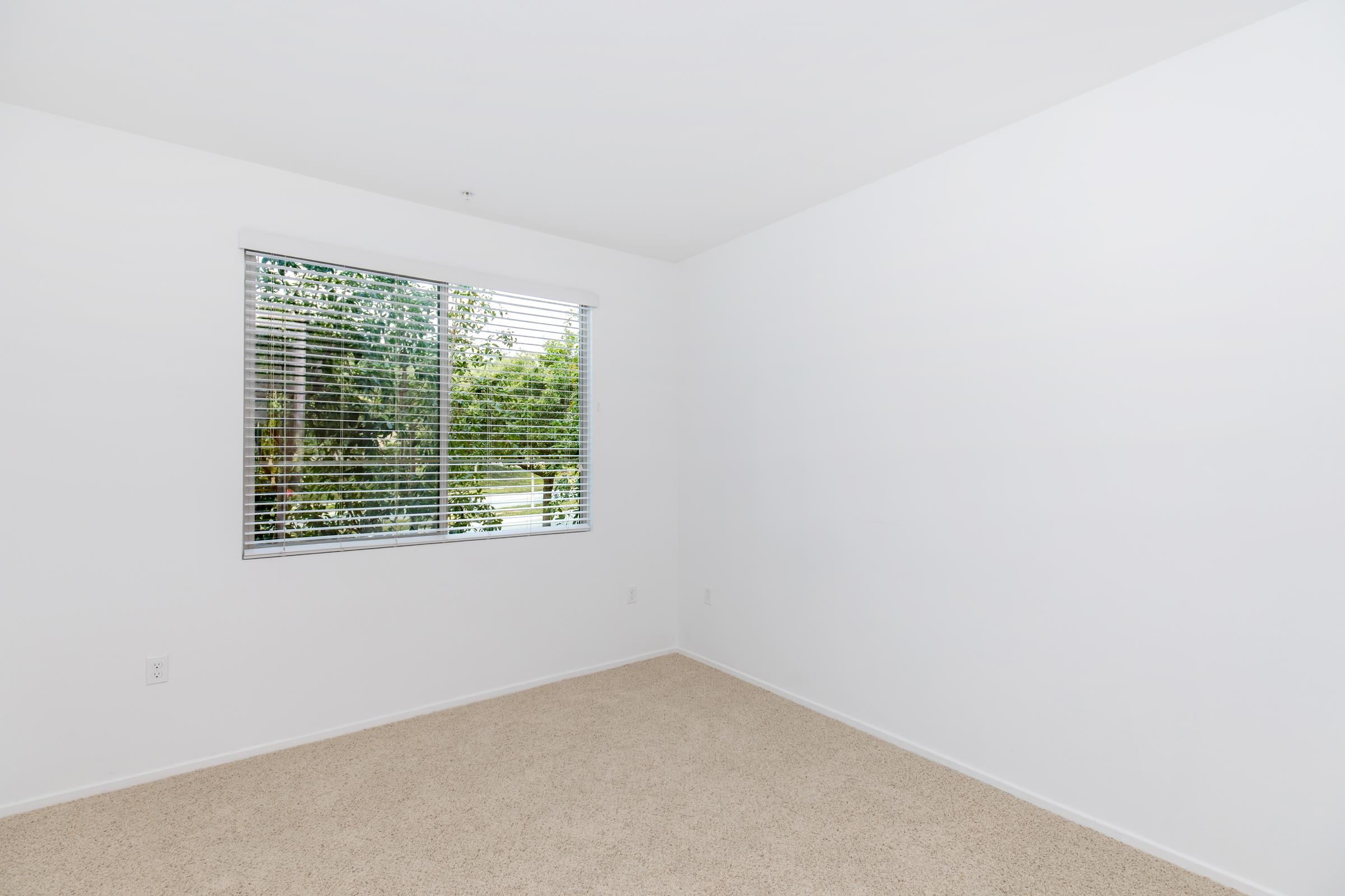 A minimal empty room with beige carpet and white walls. A window with blinds allows natural light to enter, revealing greenery outside. The space is uncluttered and features no furniture or decorations, providing a blank canvas for potential use.
