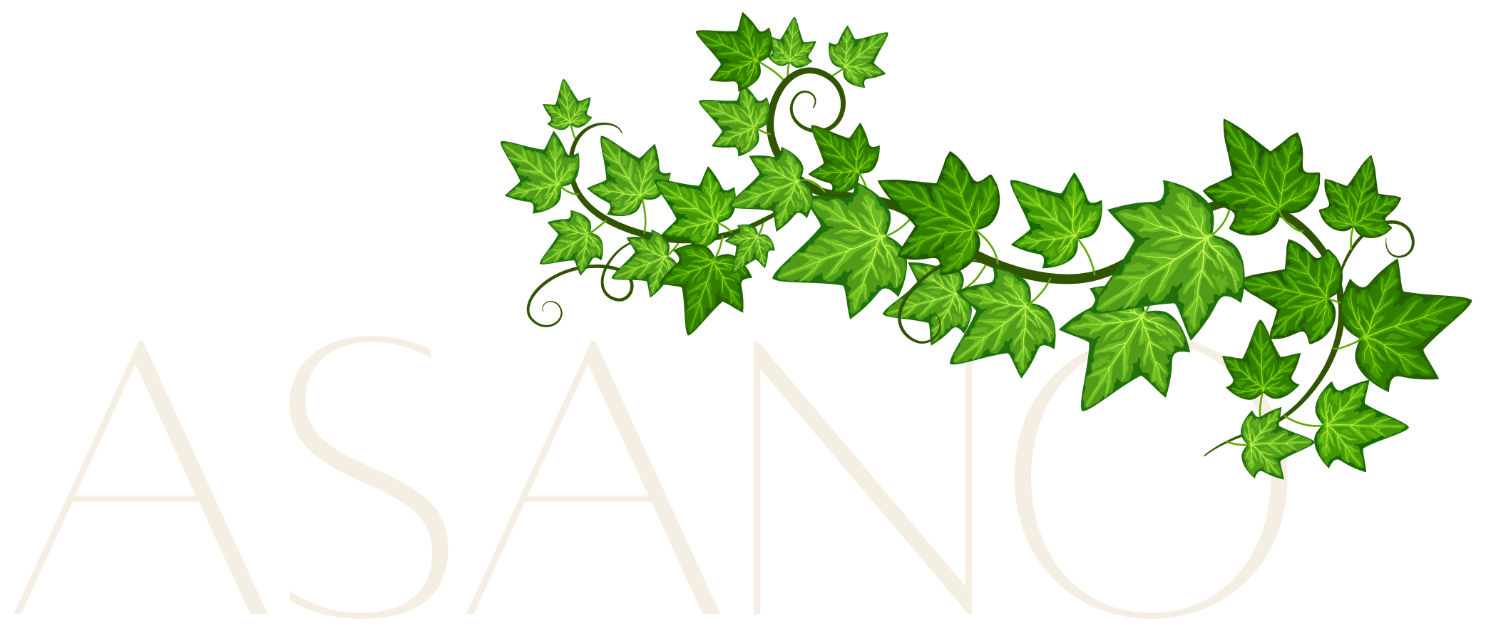 Asano on Ivy ebrochure logo
