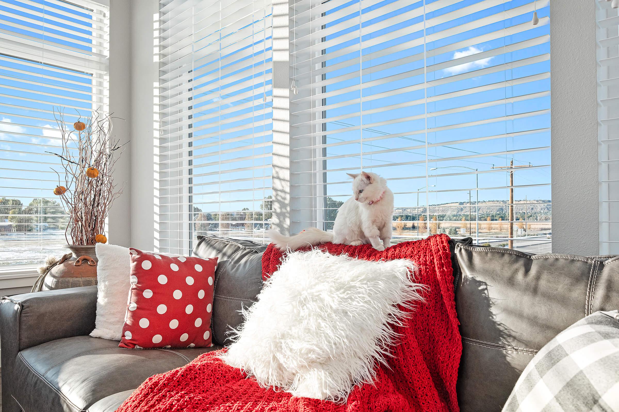 a group of stuffed animals sitting next to a window