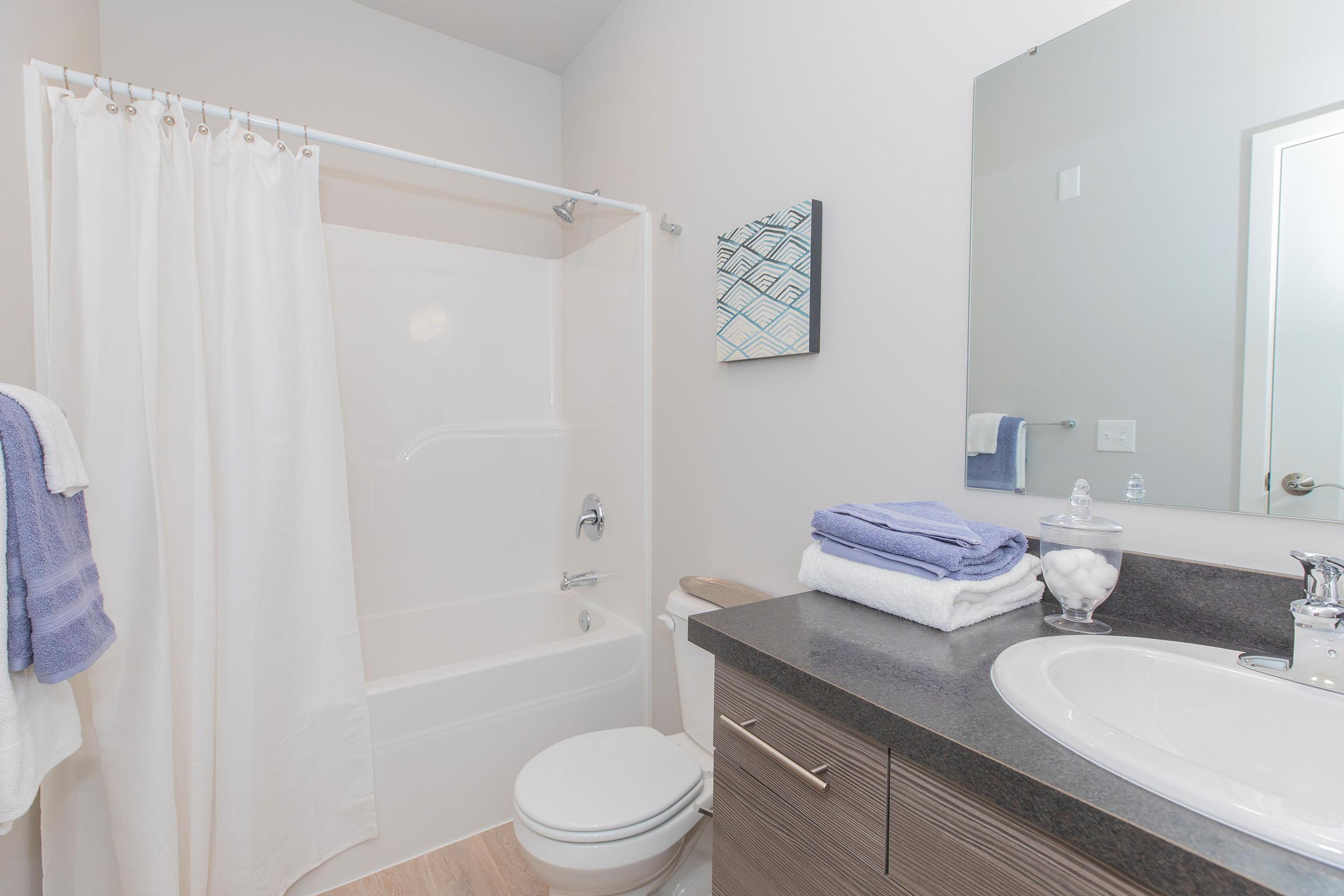 a room with a sink mirror and shower curtain