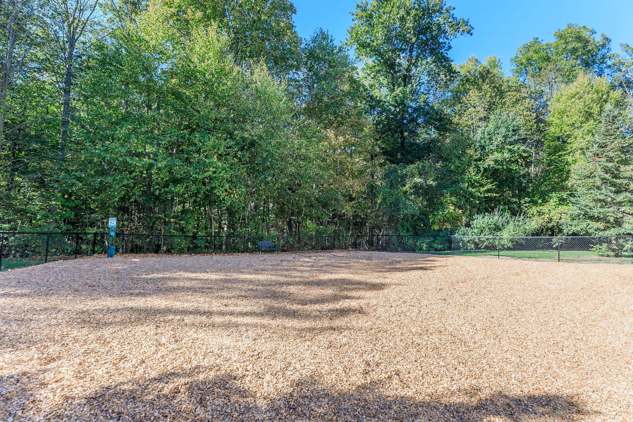 A fenced outdoor area covered with wood chips, surrounded by trees. The ground is flat and sunny, indicating a recreational space, possibly for pets or outdoor activities.