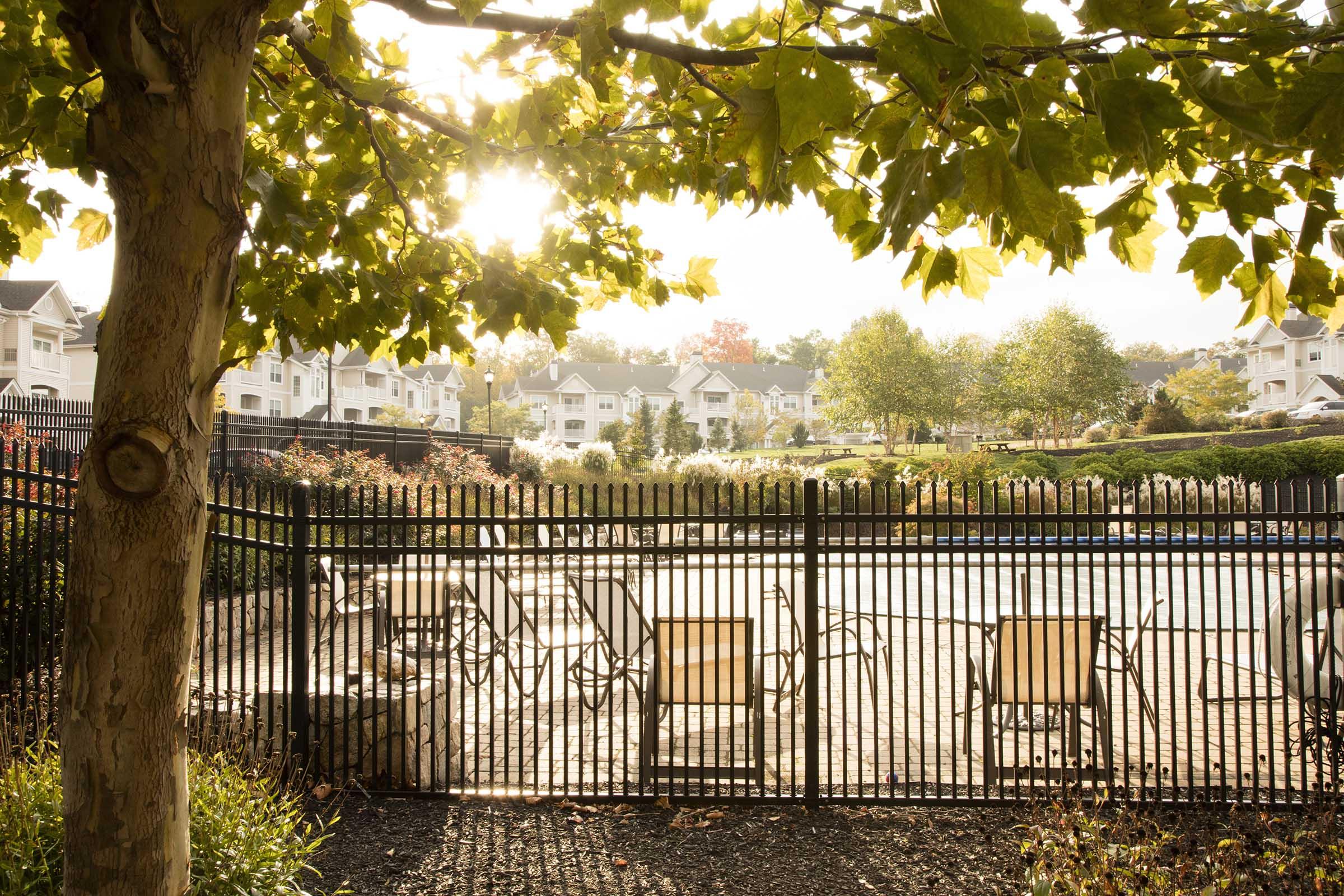A serene view of a fenced swimming pool area surrounded by lush greenery and trees. In the background, residential buildings are partially visible, with sunlight streaming through the leaves, creating a warm, inviting atmosphere. Empty lounge chairs are positioned around the pool, suggesting a peaceful setting.