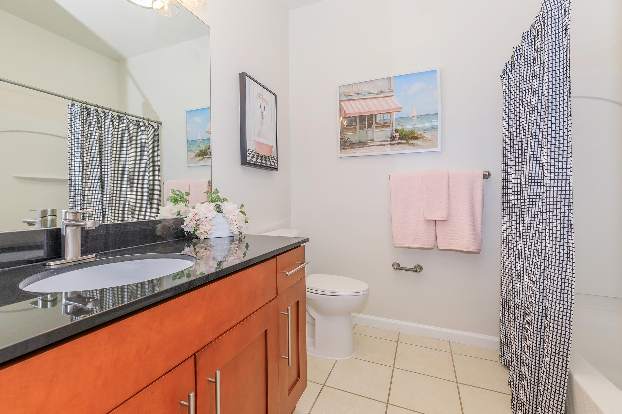 Bright and modern bathroom featuring a black granite countertop, wooden cabinetry, and a mirror. A shower curtain with a black and white check pattern is visible. Decorative elements include a framed seaside picture, a pink towel, and a vase with flowers on the counter. The space is well-lit with neutral-colored walls.