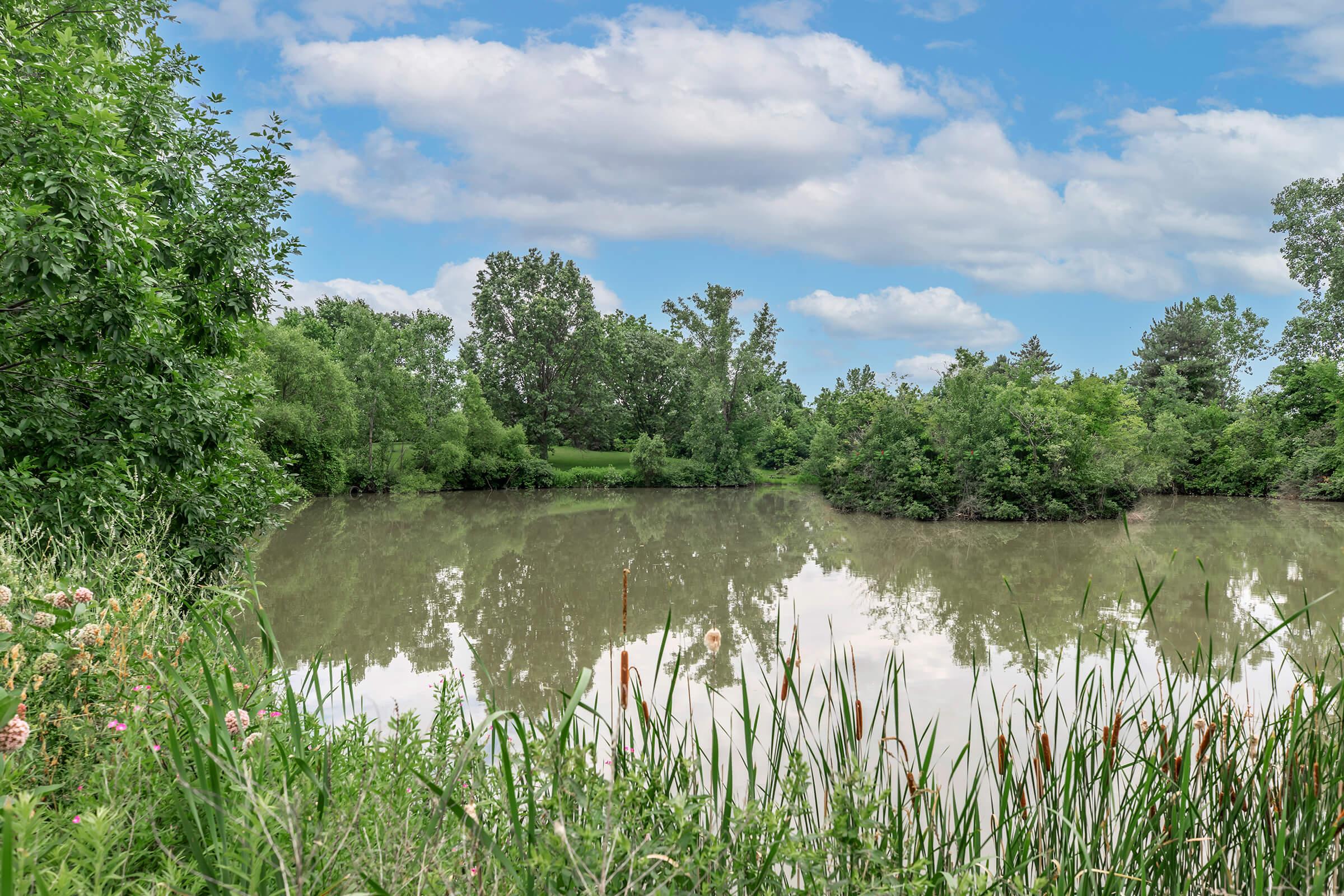 A tranquil scene of a pond surrounded by lush greenery and trees under a partly cloudy sky. The still water reflects the surrounding foliage, creating a peaceful natural setting. Tall grasses and wildflowers line the edge of the water, enhancing the serene atmosphere.