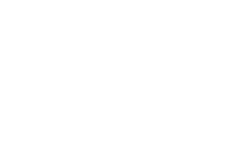 Chestnut Lake Apartments ebrochure logo