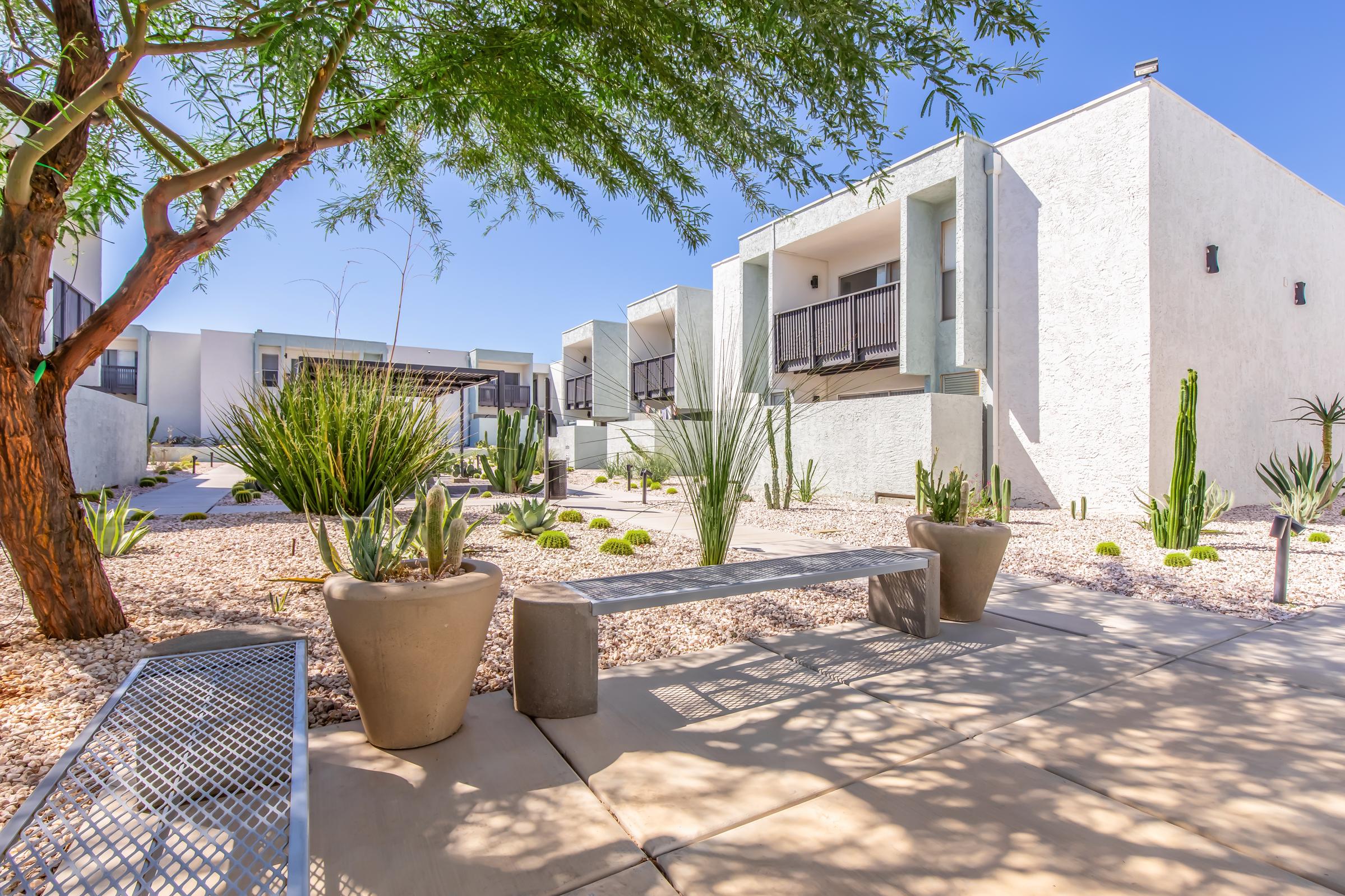 A landscaped courtyard featuring modern architecture with white buildings in the background. The area includes rocks, desert plants, and cacti, along with a concrete bench and metal seating. Bright blue sky overhead adds to the sunny atmosphere.