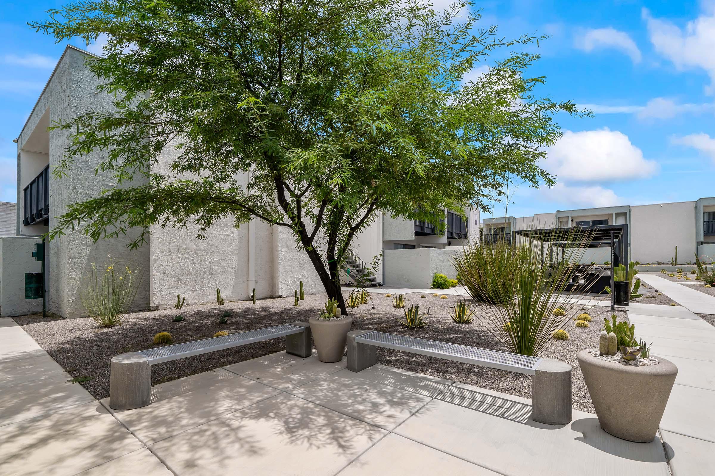 A landscaped outdoor area featuring two modern stone benches under a tree. Surrounding the benches are desert plants and cacti, with a pathway leading through a well-maintained space. The background includes modern buildings against a clear blue sky.