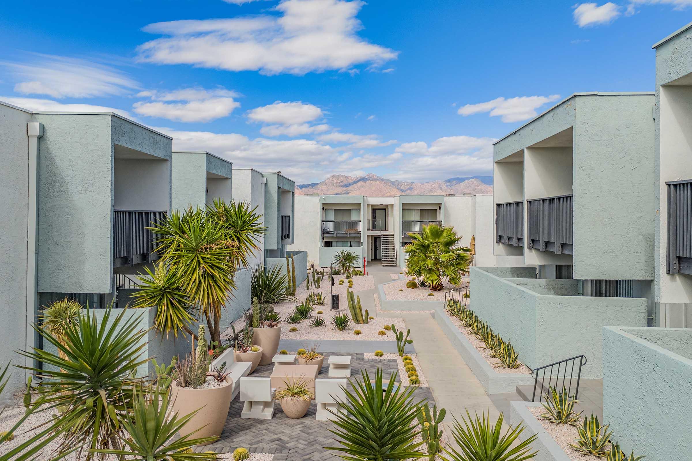 A view of a modern apartment complex featuring light-colored buildings with balconies. The landscape includes various types of palm trees and desert plants, set against a backdrop of mountains and a clear blue sky with scattered clouds. The pathway is lined with geometric planters and greenery, creating a tranquil atmosphere.