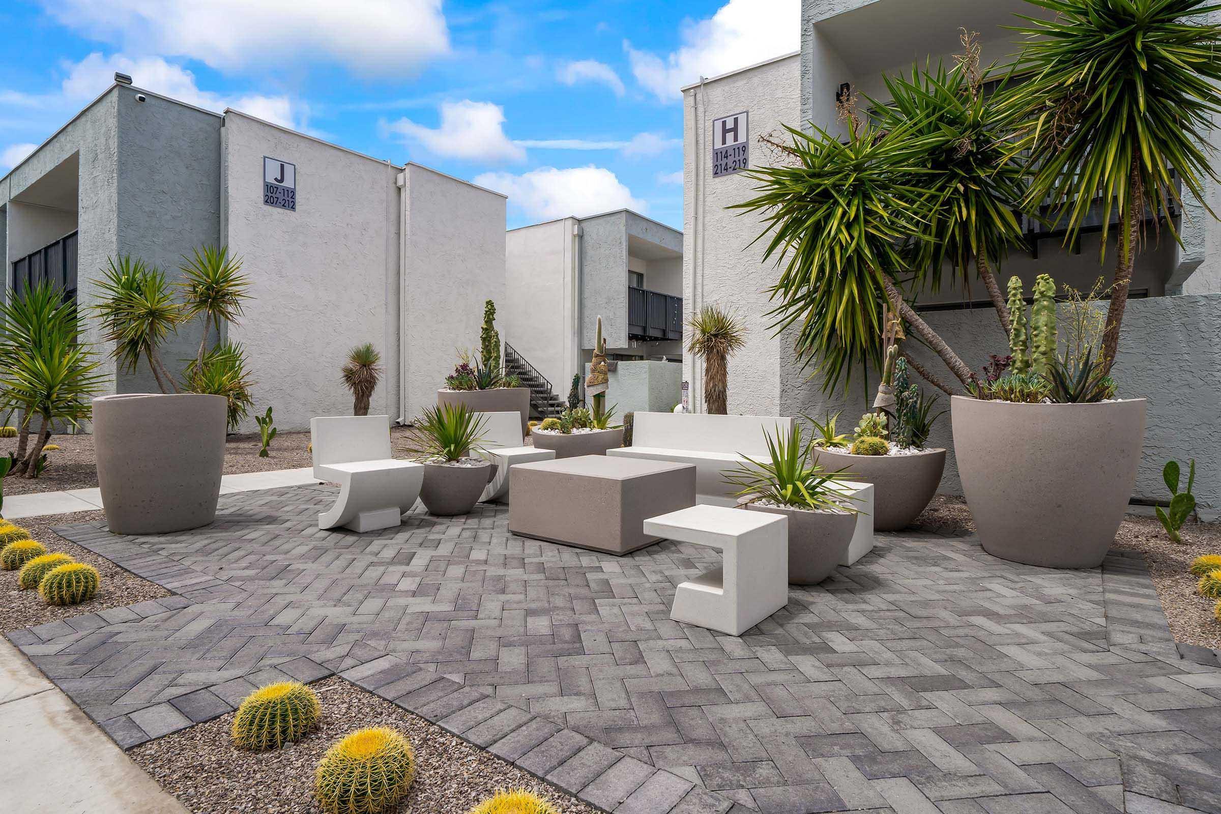 Contemporary outdoor seating area surrounded by potted plants and cactus in a landscaped courtyard. The space features modern furniture in neutral tones, set on paved flooring, with a backdrop of low-rise buildings and clear blue sky. Various succulents and cacti enhance the serene environment.