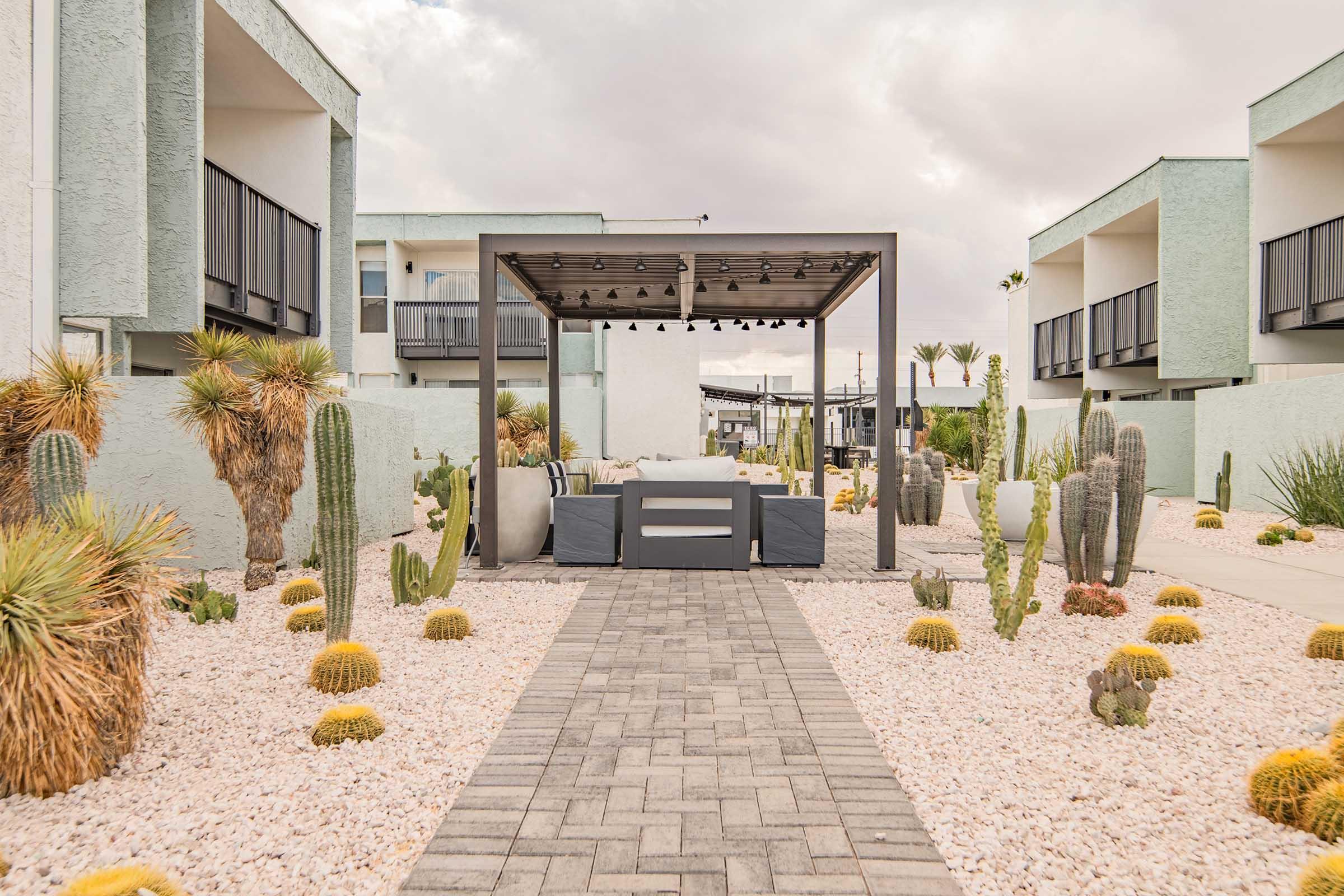 A modern outdoor lounge area surrounded by a desert garden. It features a covered seating space with string lights, flanked by various cacti and desert shrubs on a pebbled pathway, leading to contemporary multi-story buildings in the background under a cloudy sky.