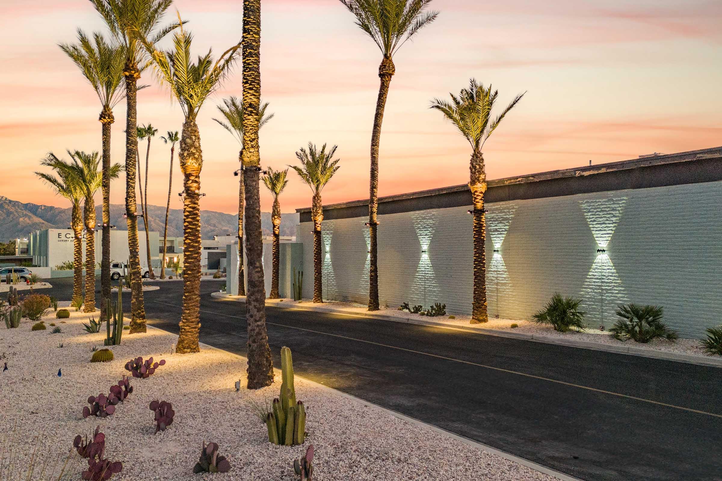 A scenic view of a palm-lined road at dusk, with illuminated palms and cacti in the foreground. The backdrop features a sleek building against a vibrant sunset sky, showcasing hues of orange and pink. Soft lighting highlights the texture of the walls and the landscape, creating a serene atmosphere.