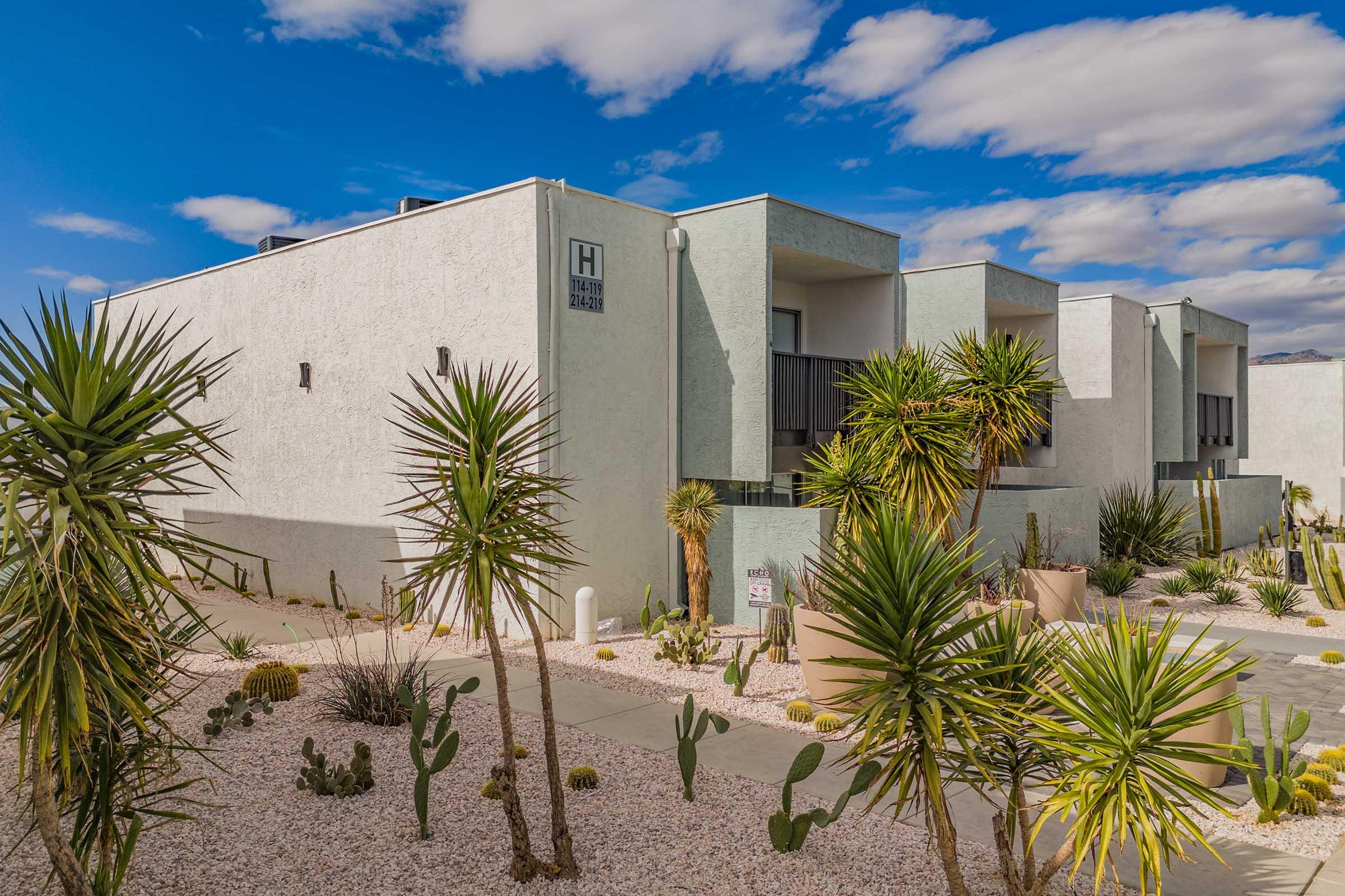 Modern architectural building with light blue exterior, surrounded by desert landscaping featuring various cacti and palm trees. The scene is set under a bright blue sky with fluffy clouds, showcasing a serene outdoor environment.