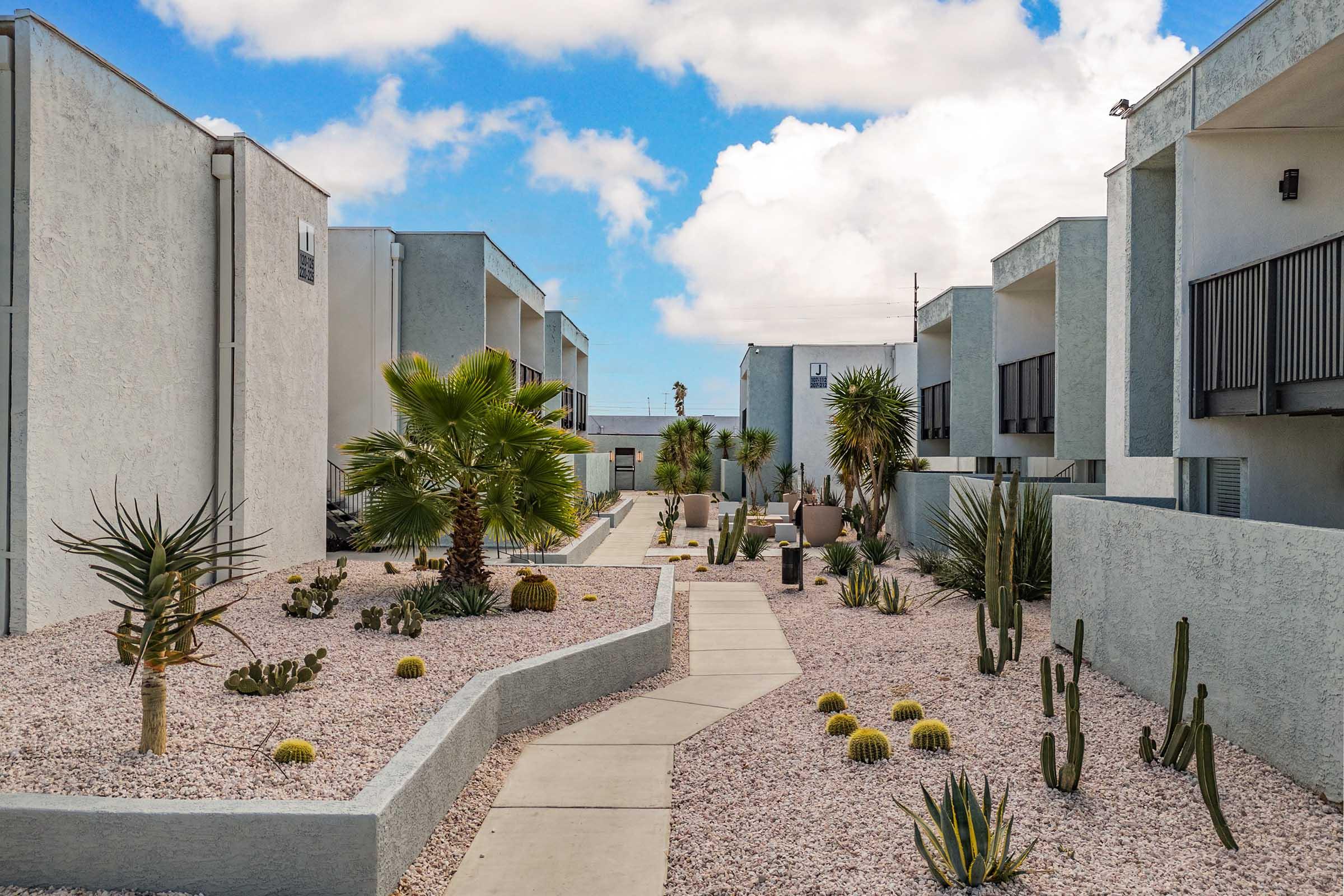 A landscaped pathway surrounded by modern apartment buildings, featuring desert plants such as cacti and palms. The walkways are lined with white pebbles, creating a clean, contemporary aesthetic under a blue sky with scattered clouds.