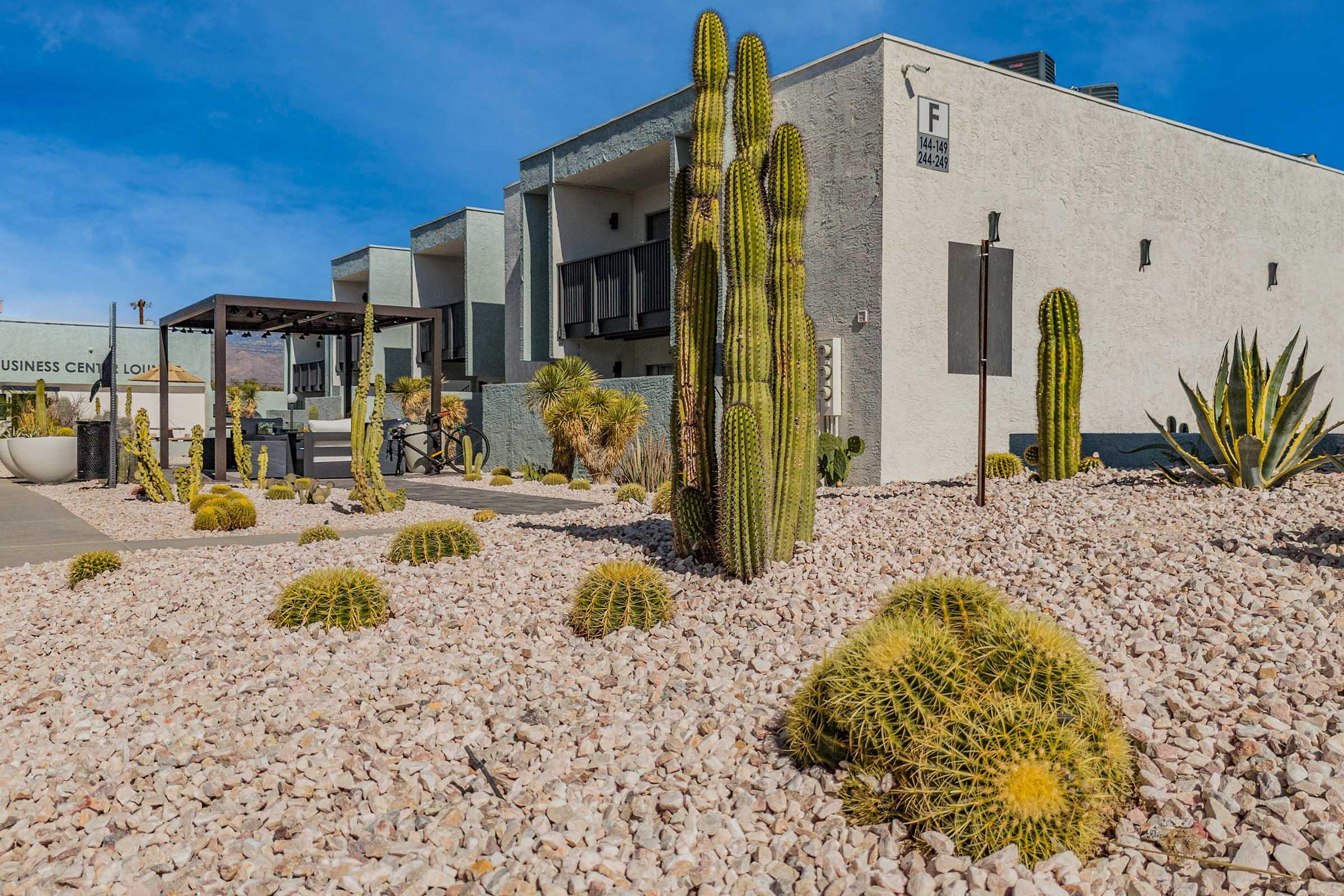 A modern building exterior surrounded by desert landscaping featuring various cacti, including tall, slender cacti and round golden barrel cacti, set against a clear blue sky. The ground is covered in decorative gravel, enhancing the arid landscape design.