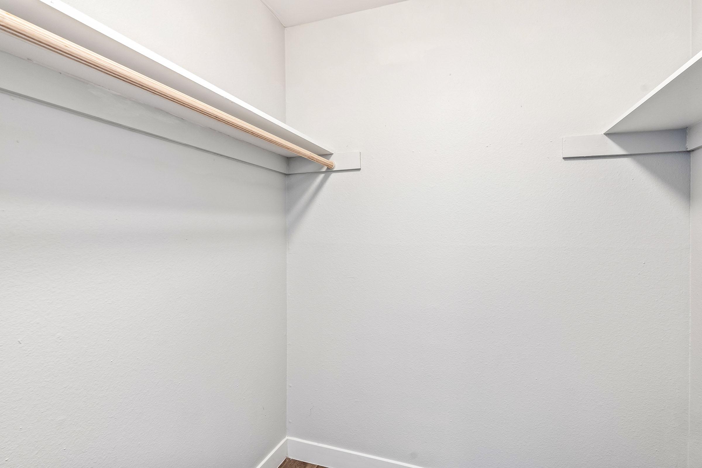 Luxury 2 BR WALK-IN CLOSET.jpg