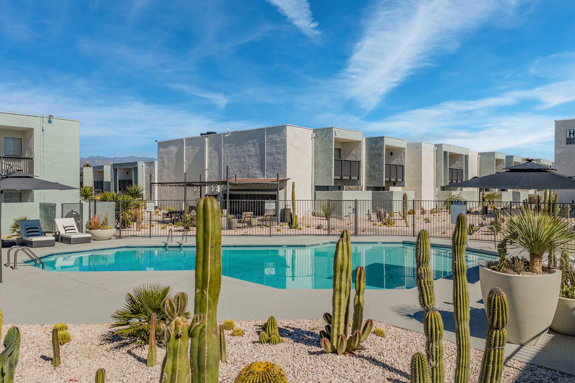 A tranquil pool area surrounded by modern apartment buildings. The pool is framed by tall cacti and desert plants, with lounge chairs and umbrellas nearby. A blue sky with wispy clouds adds to the serene atmosphere.