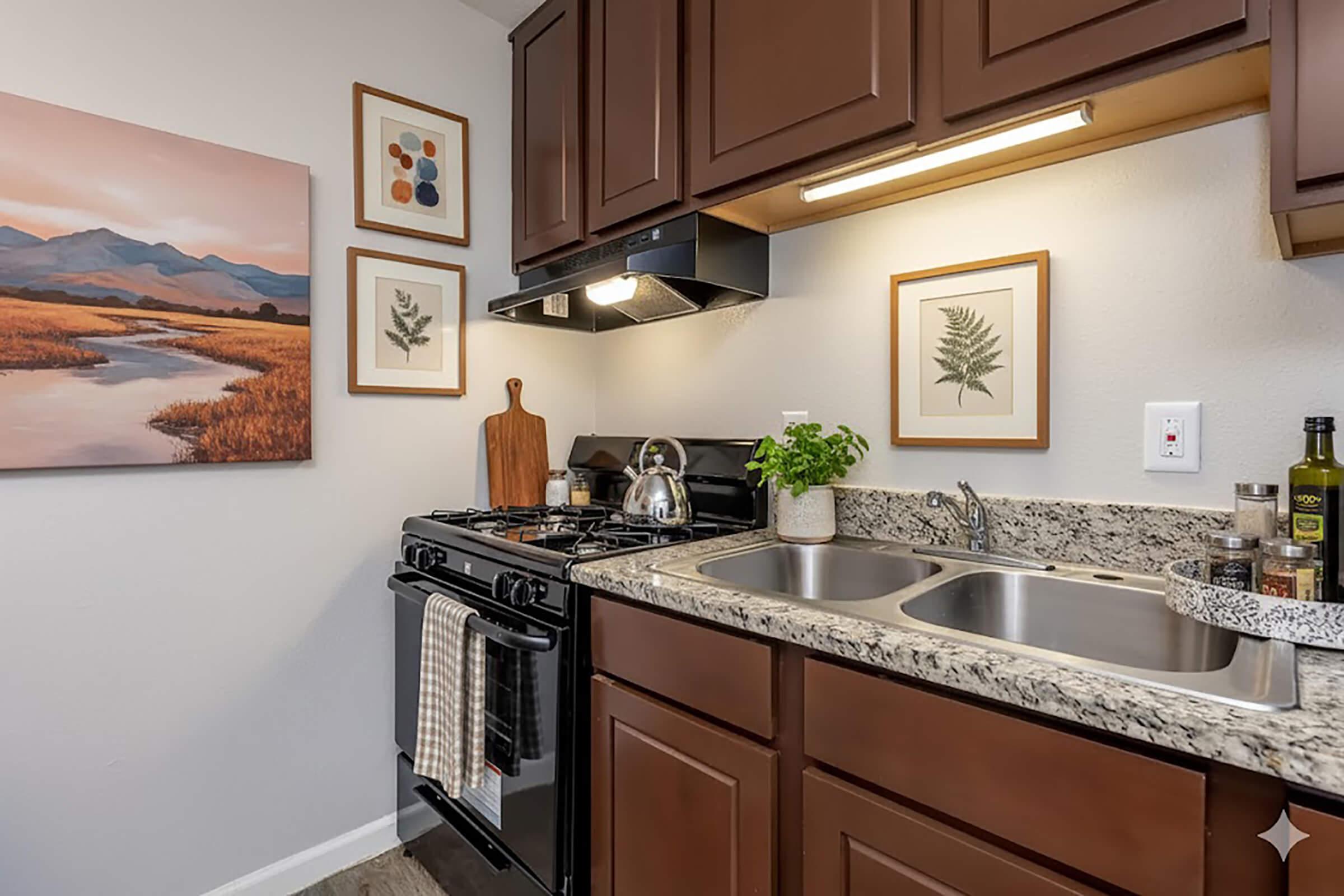 A cozy kitchen featuring dark wooden cabinets, a gas stove with a kettle on it, and a double sink. The countertops are made of granite, and there are framed botanical prints on the walls. A cutting board and a plant are visible, along with olive oil and a soap dispenser on the counter. A landscape painting adds warmth to the space.