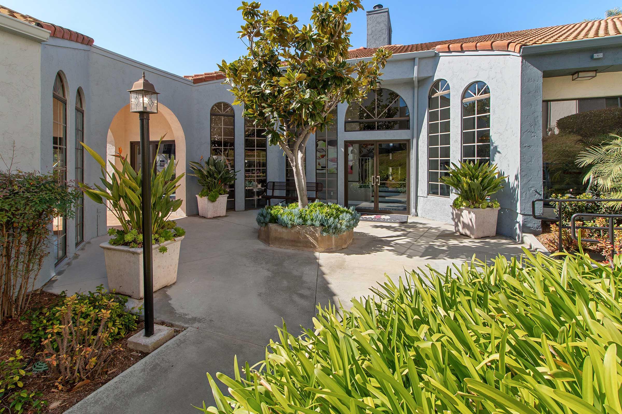 A well-maintained courtyard featuring potted plants, a central tree, and a stone pathway leading to a building entrance with large arched windows. Surrounding greenery adds a vibrant touch, and a decorative street lamp stands near the entrance. Bright sunlight illuminates the scene, creating a welcoming atmosphere.