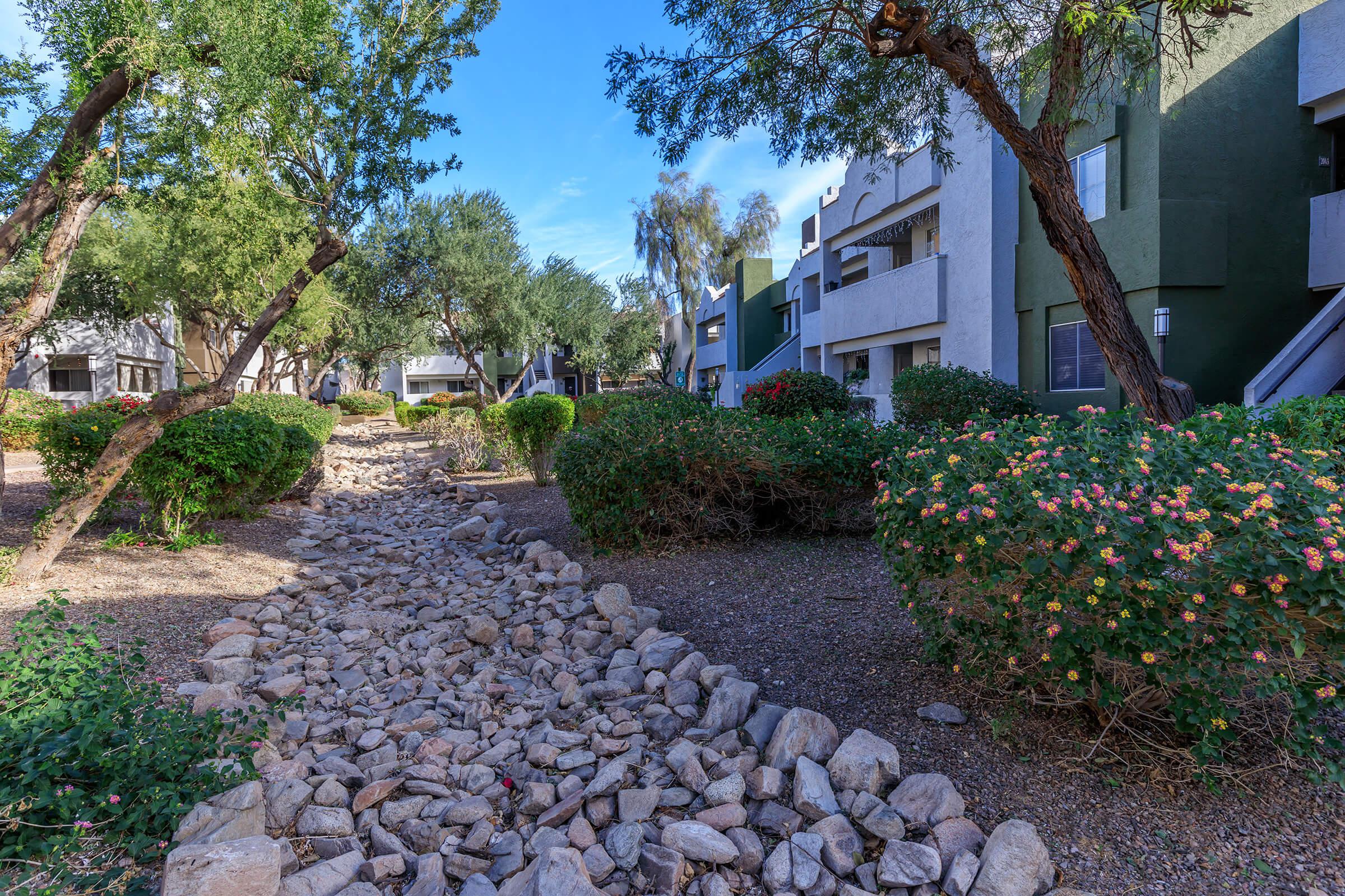a garden in front of a house