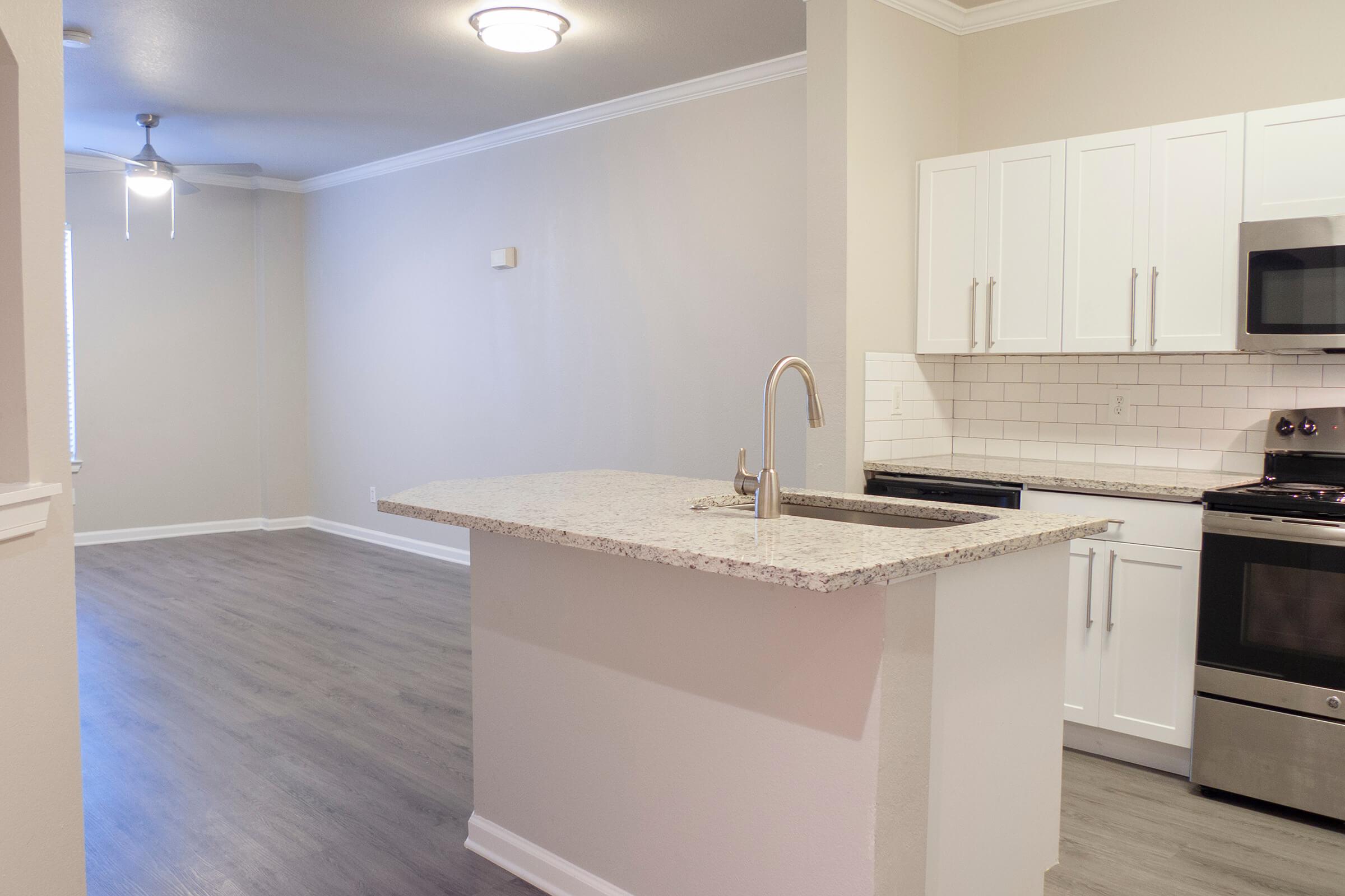 1001Ross-10Kitchen03.jpg