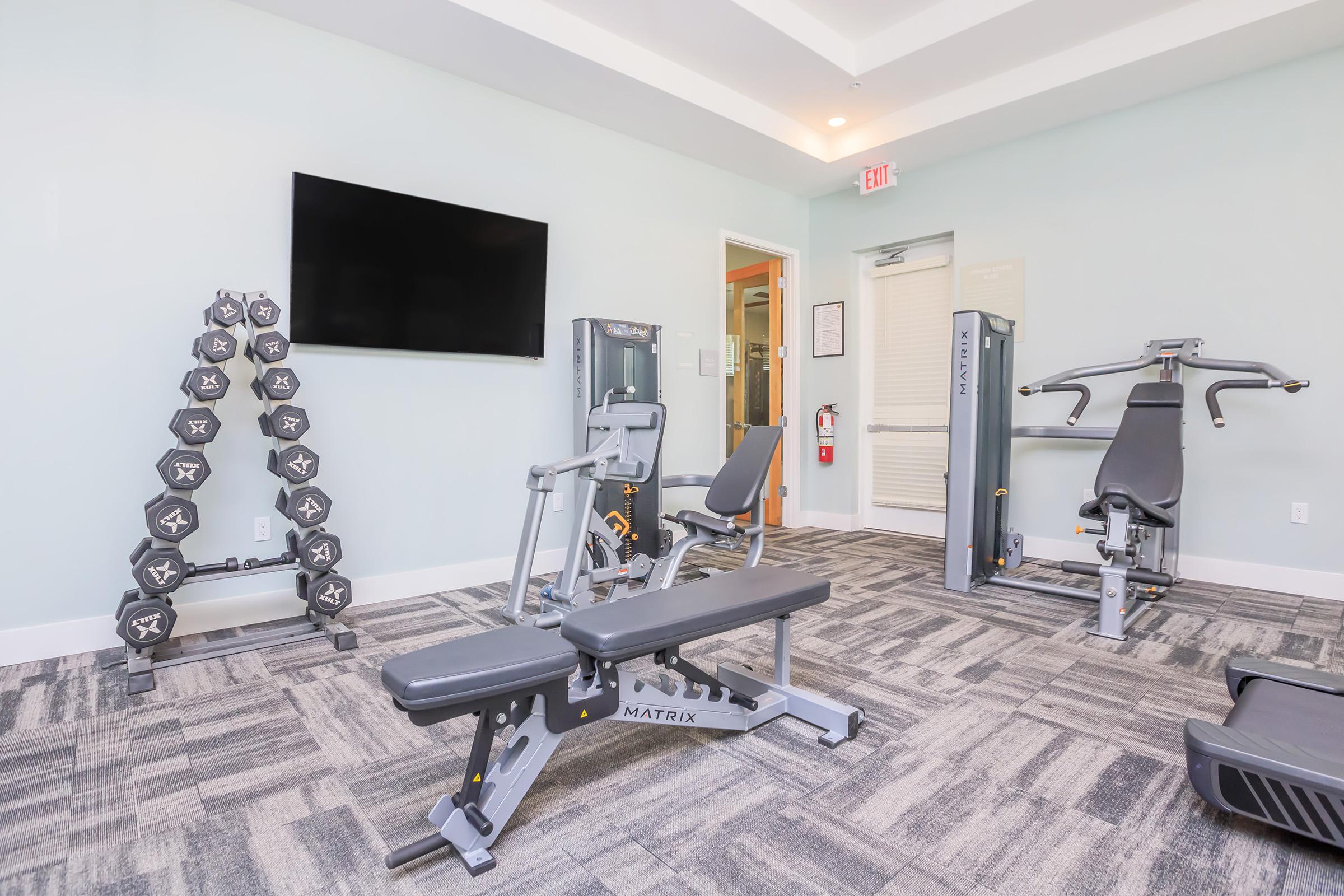 A well-equipped gym featuring a set of dumbbells, a weight bench, a multi-station exercise machine, and a television mounted on the wall. The room has a light-colored wall and a patterned carpet, creating a bright and inviting workout space.