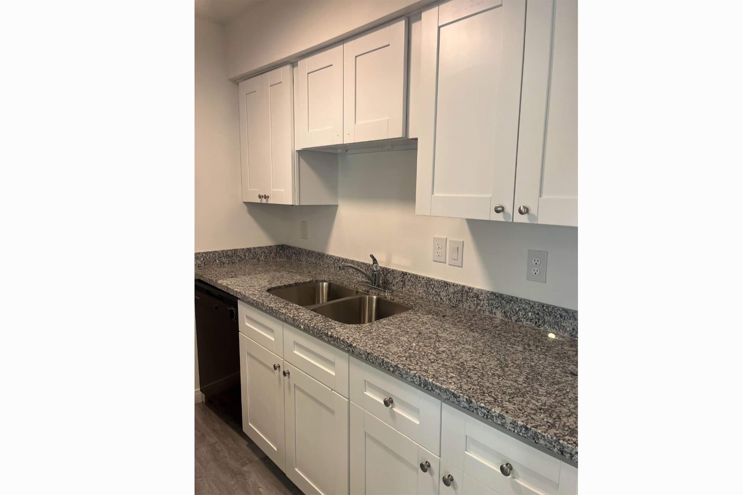 A modern kitchen featuring white cabinetry, a granite countertop, and double stainless steel sinks. The kitchen has a clean, minimalist design with no visible appliances, creating an open and bright atmosphere.