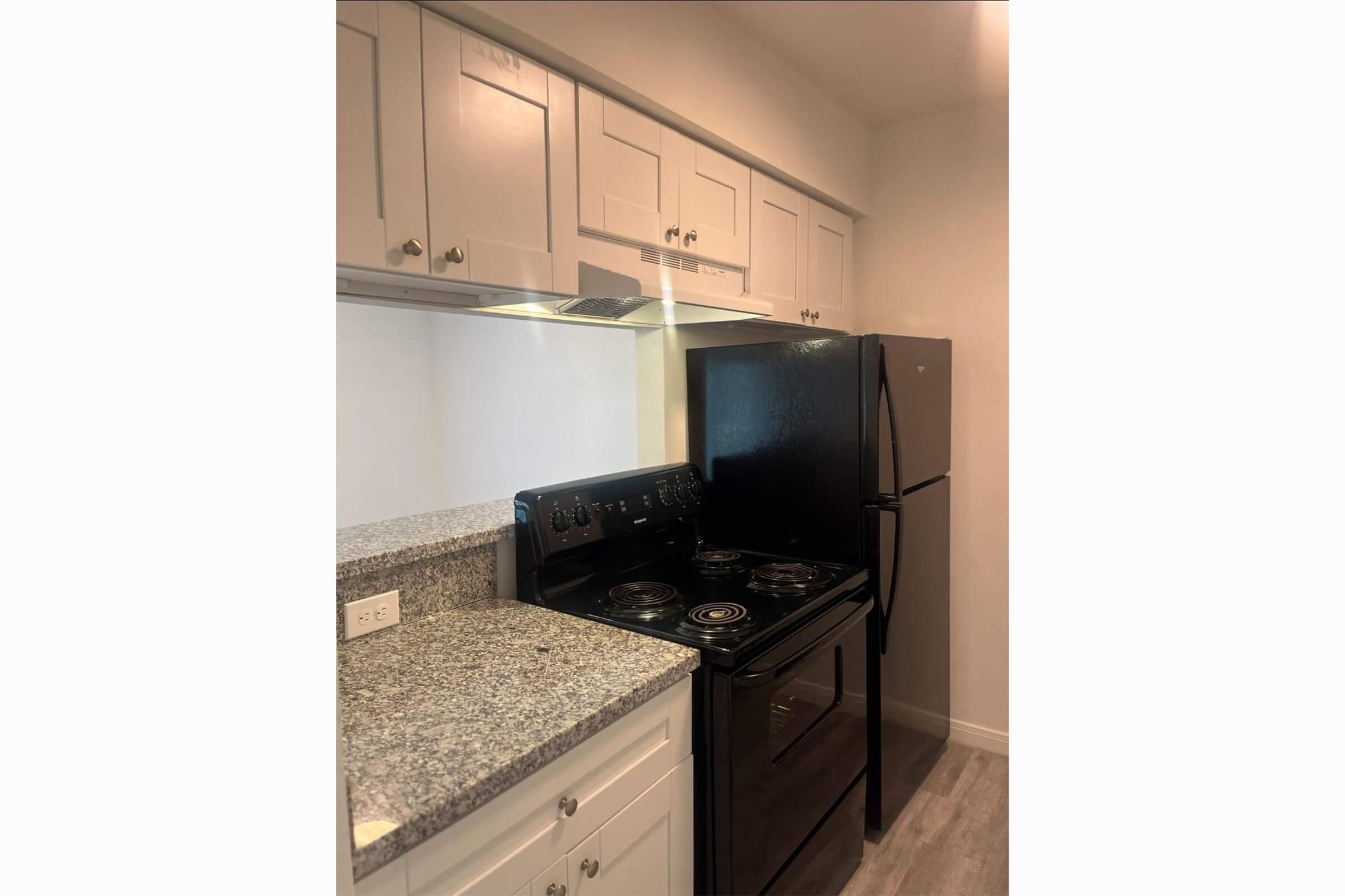 A modern kitchen featuring light-colored cabinets, a granite countertop, a black stove with an oven, and a black refrigerator. The space is well-lit and has a clean, minimalist design with ample storage above the countertop.