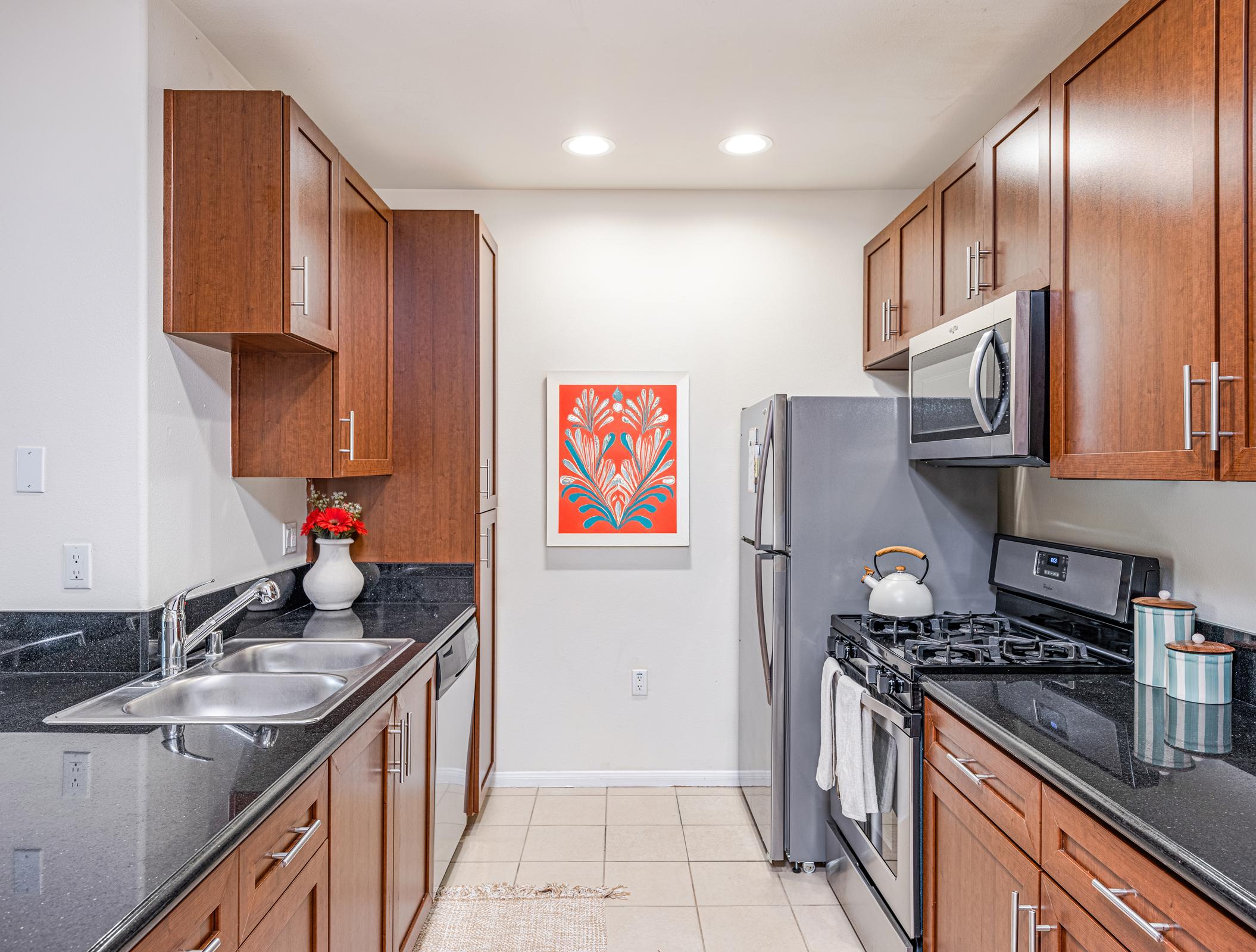 Stainless Steel Kitchen Appliances
