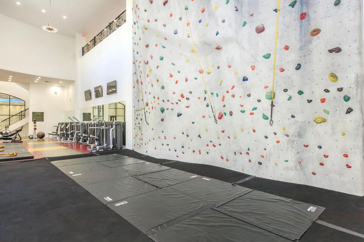 CLIMBING WALL