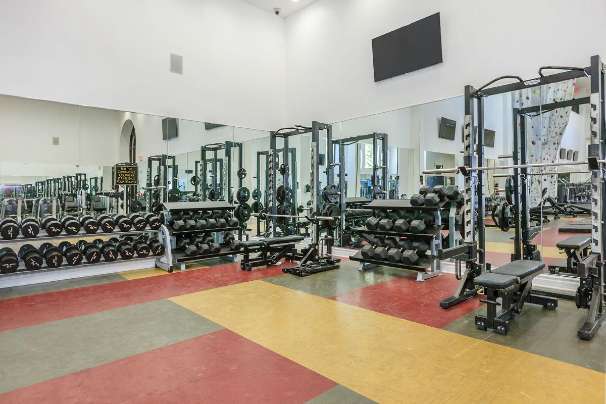 A well-equipped gym featuring weightlifting equipment, including dumbbells and a squat rack, along with exercise mats on a multicolored floor. Mirrors line the wall, and there are a few screens mounted above the gym area.