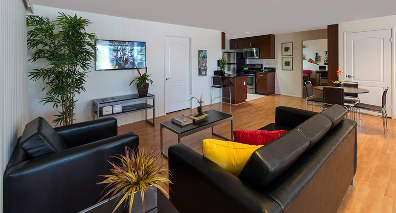 A modern living room with two black sofas, one featuring colorful cushions. A coffee table sits in the center, surrounded by a potted plant. A flat-screen TV is mounted on the wall. In the background, a kitchen area is visible, with wooden cabinets and appliances, along with a dining table and chairs.