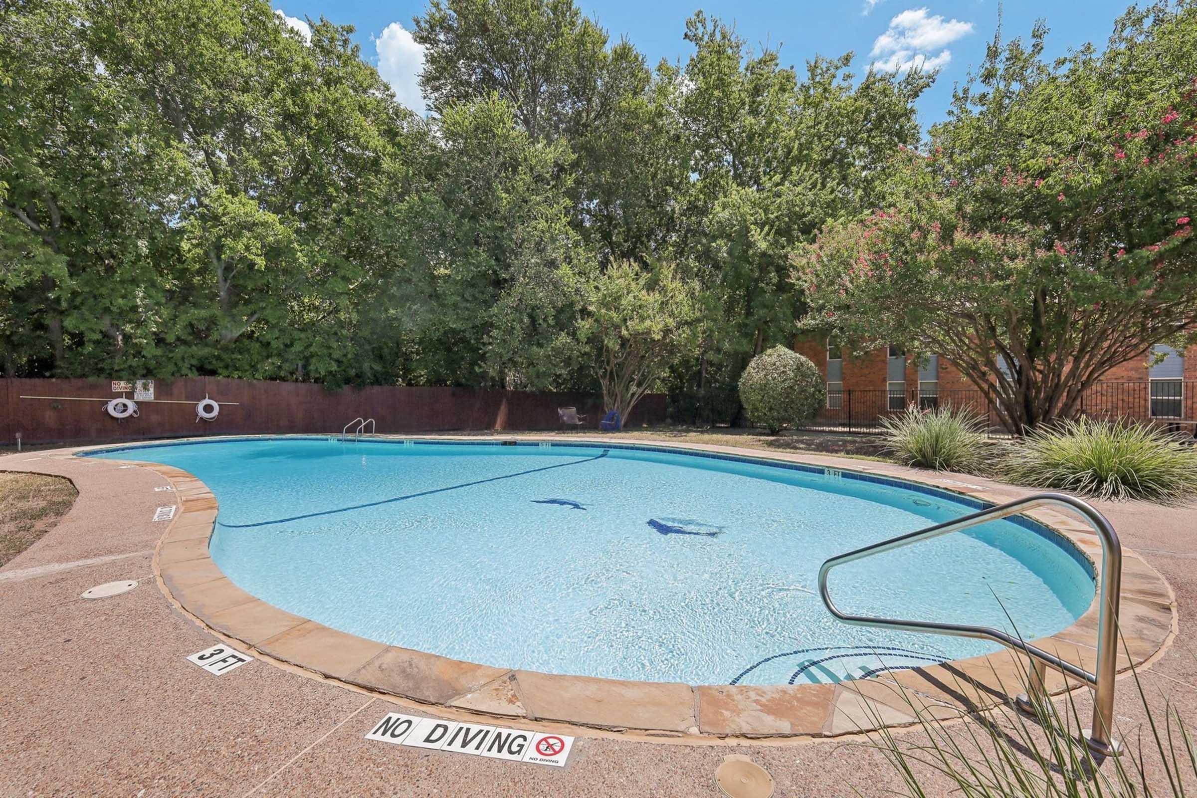A clear swimming pool surrounded by greenery, featuring a gentle slope leading to the water. There are no diving signs posted and a handrail for assistance. The pool area is sunny with a blue sky and a few clouds. Lush plants and trees provide shade around the pool's edge.