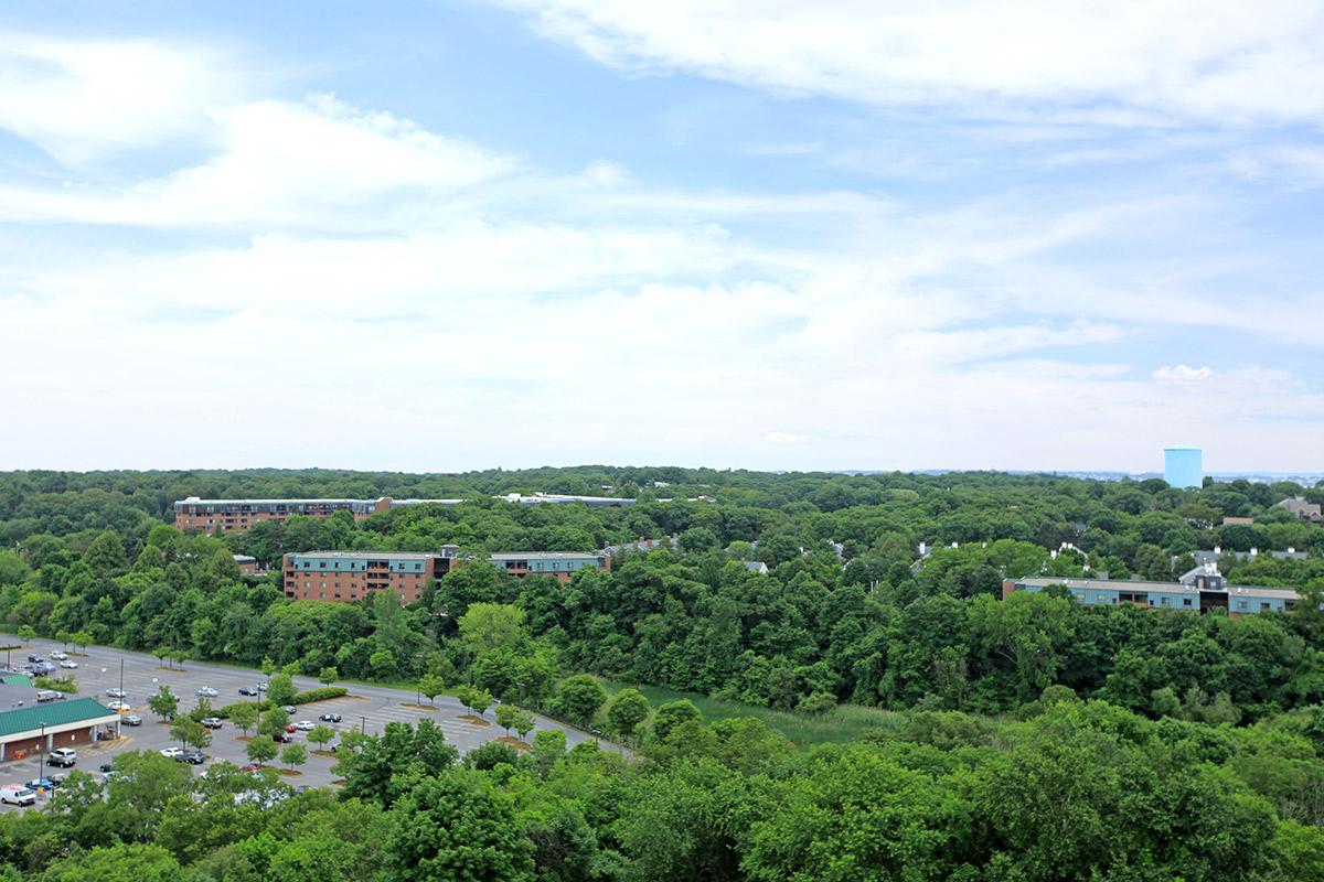 City view with green trees