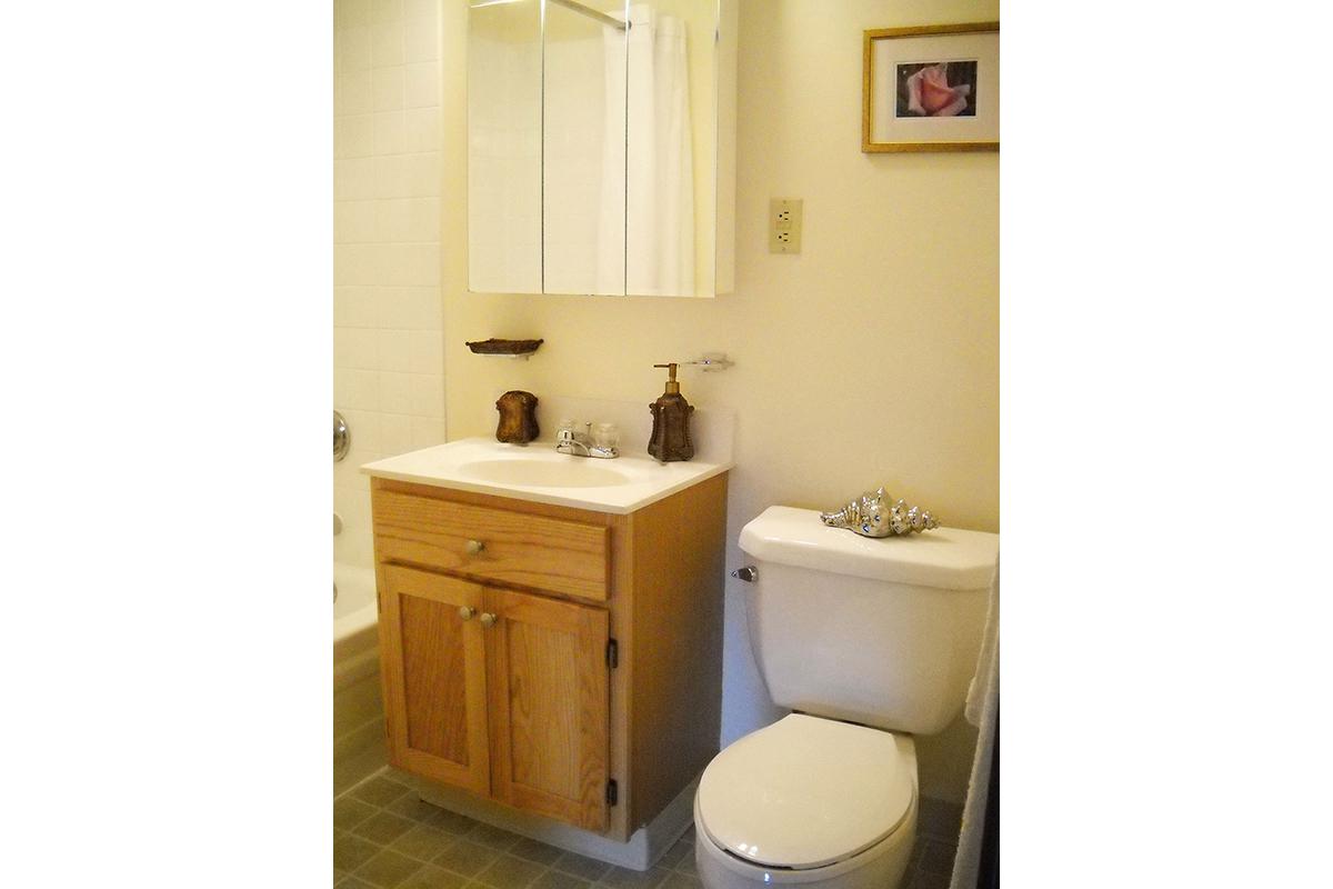 Bathroom with wooden cabinets