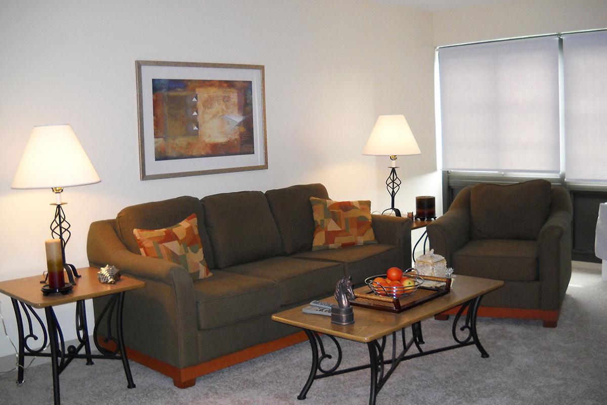 Living room with brown couch