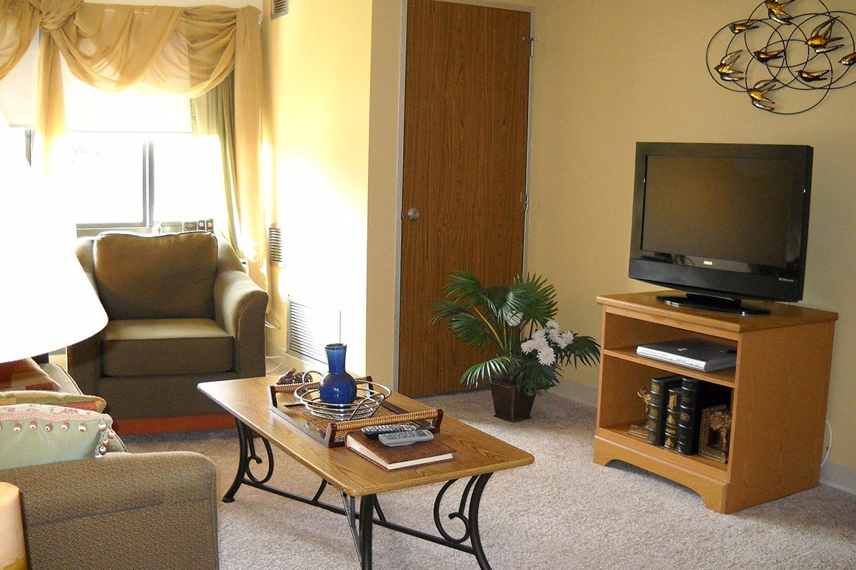 Living room with carpet