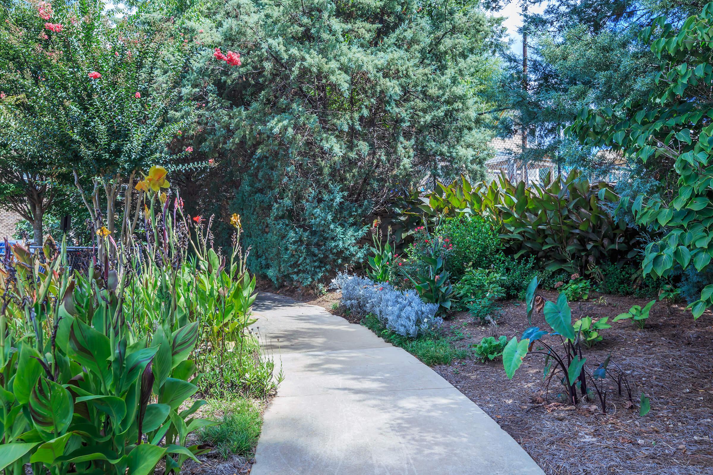 a close up of a flower garden