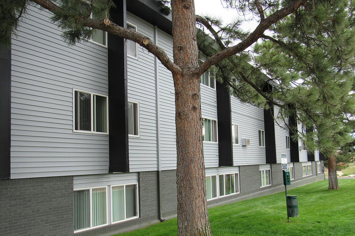 a tree in front of a house