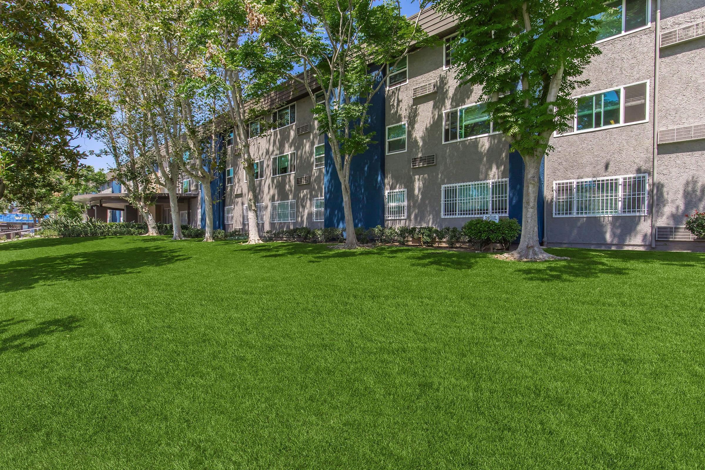 A well-maintained green lawn with trees and a multi-story building in the background. The building has several windows and is surrounded by a vibrant landscape. Bright sunlight enhances the colors of the grass and foliage, creating a welcoming outdoor space.