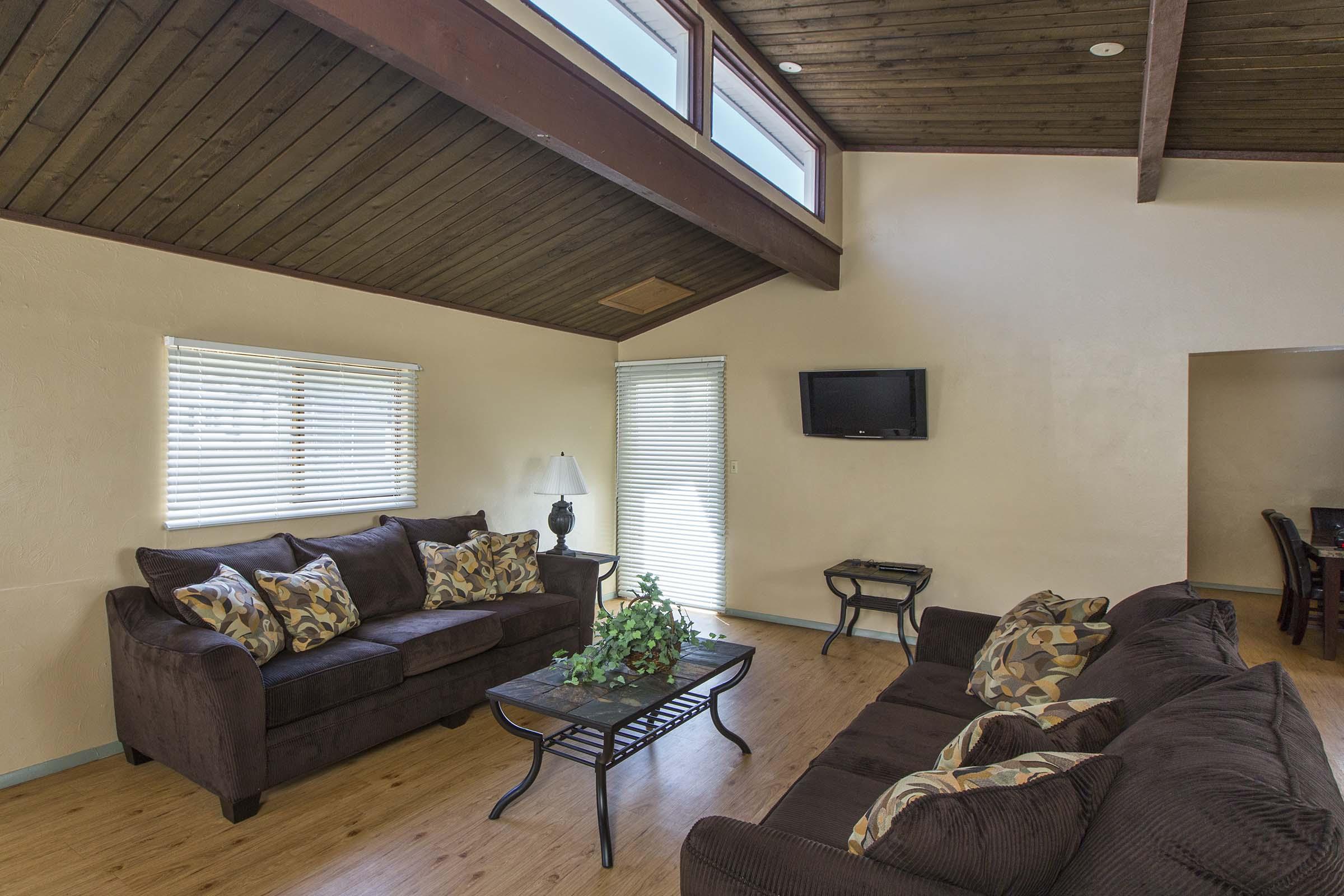 A cozy living room featuring two dark brown sofas with decorative pillows, a coffee table with a small plant, and a lamp beside a window. The room has a high wooden ceiling and natural light filters in through the windows. A wall-mounted TV is visible, adding to the comfortable atmosphere.