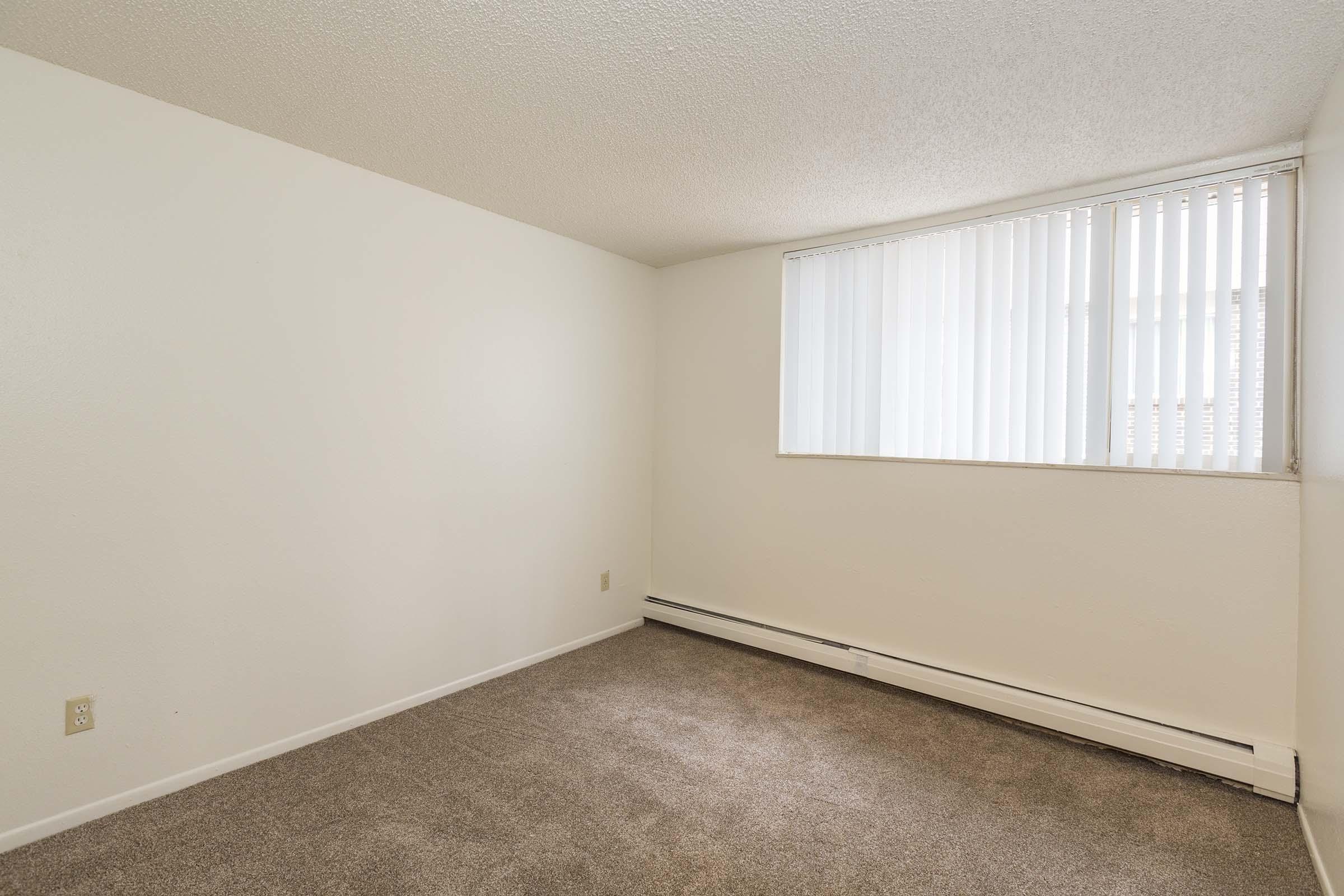Empty room with light-colored walls and beige carpet. A large window with vertical blinds allows natural light to enter. The space appears clean and minimalistic, making it suitable for various uses such as living, office, or storage. The absence of furniture emphasizes the room's spaciousness.