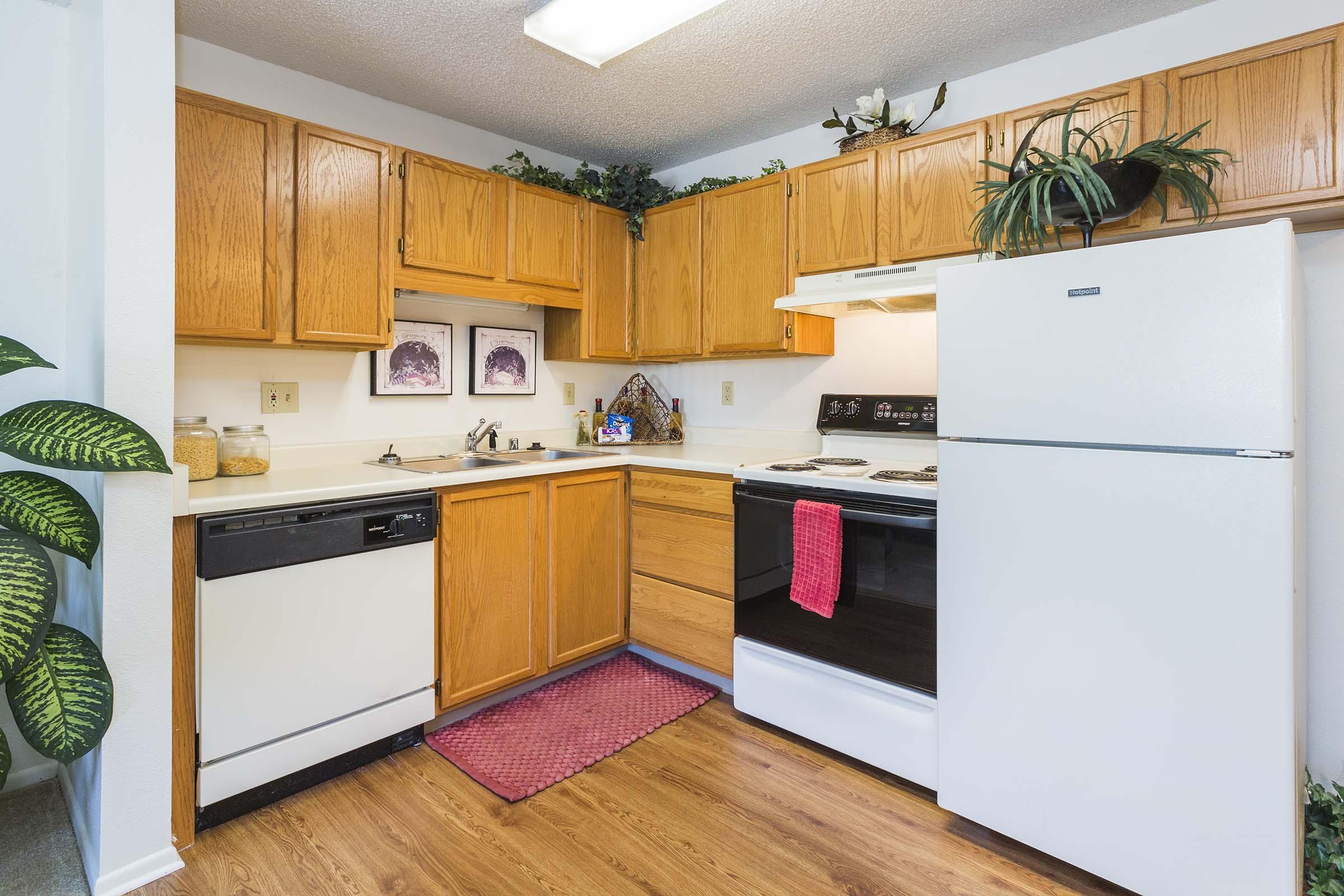 A compact kitchen featuring wooden cabinetry, a white refrigerator, a black stove with oven, and a dishwasher. The countertops are clean, adorned with some decorative items and plants. A red mat is placed in front of the sink, and the floor has a wood-like appearance. Light comes from a ceiling fixture.