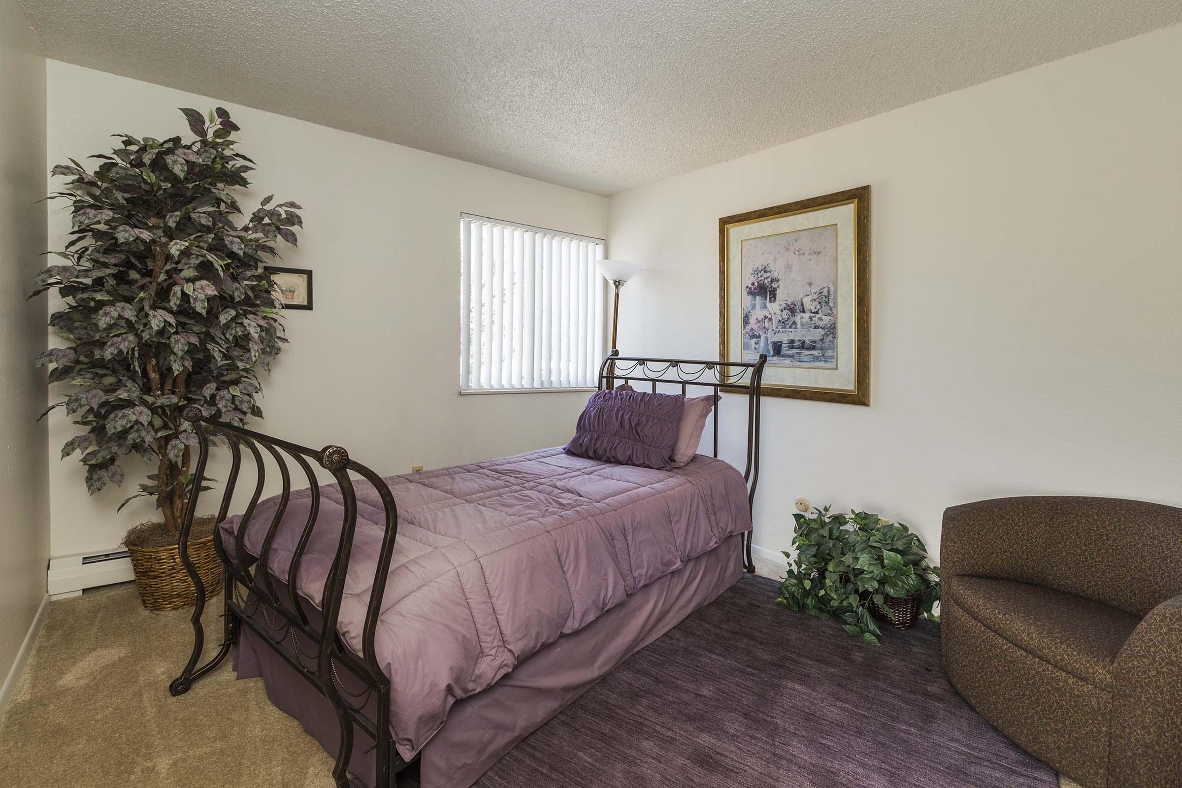 A cozy bedroom featuring a single bed with a purple comforter, a decorative plant in the corner, a framed picture on the wall, and a small armchair. The room has light-colored walls and a window with vertical blinds, providing a bright and inviting atmosphere.