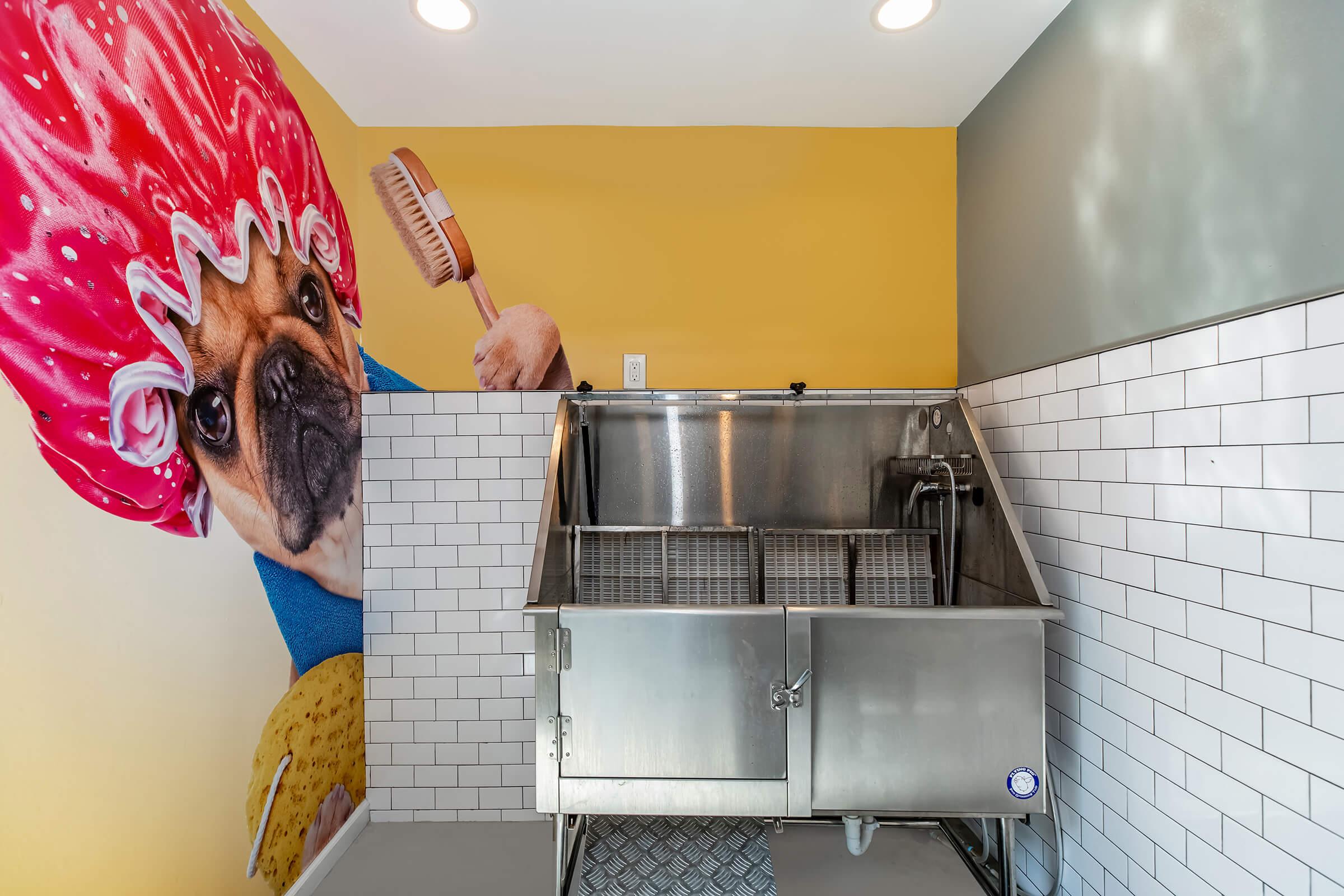 a person standing in a kitchen