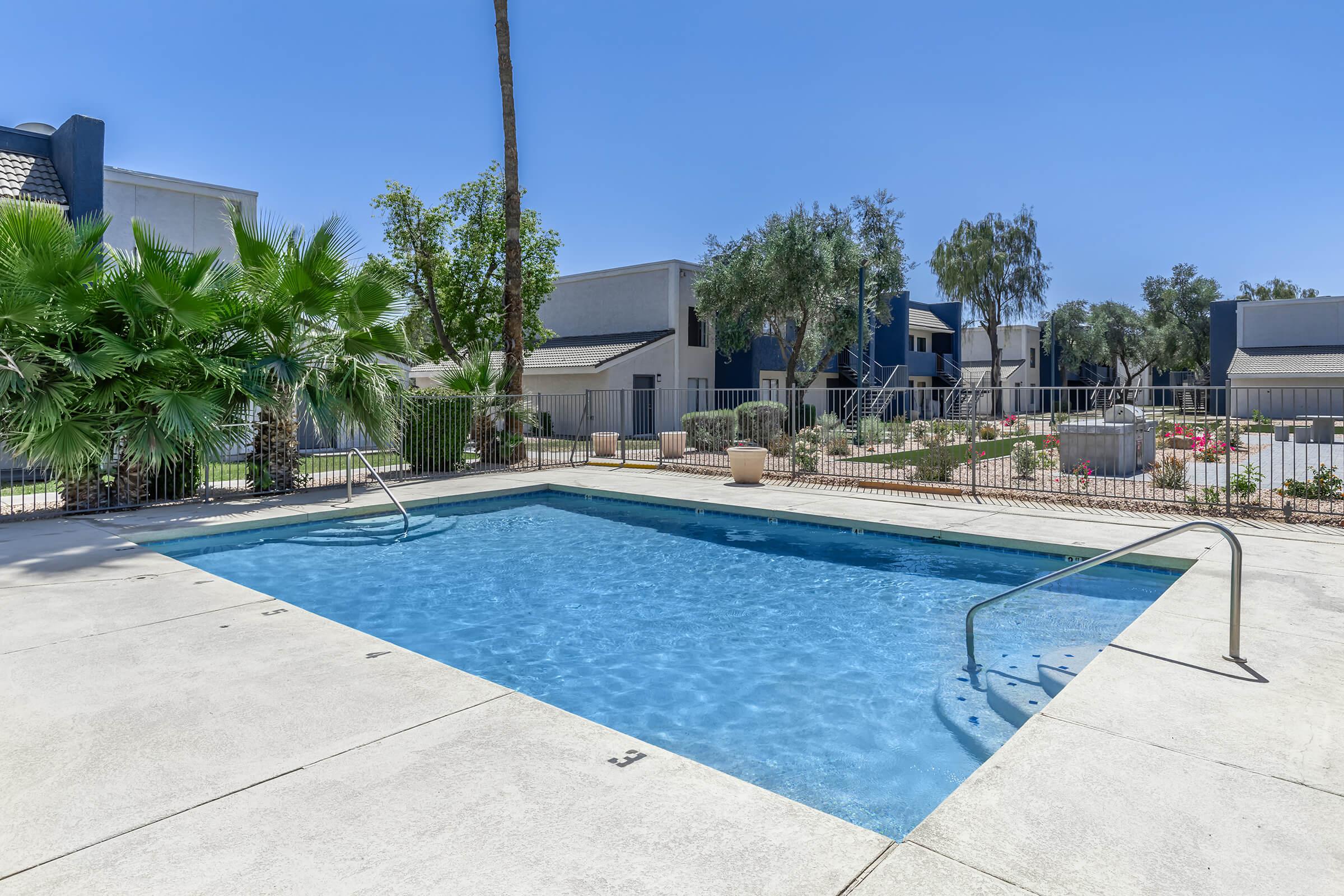 Rectangular outdoor pool surrounded by small palm trees at Rise Camelback