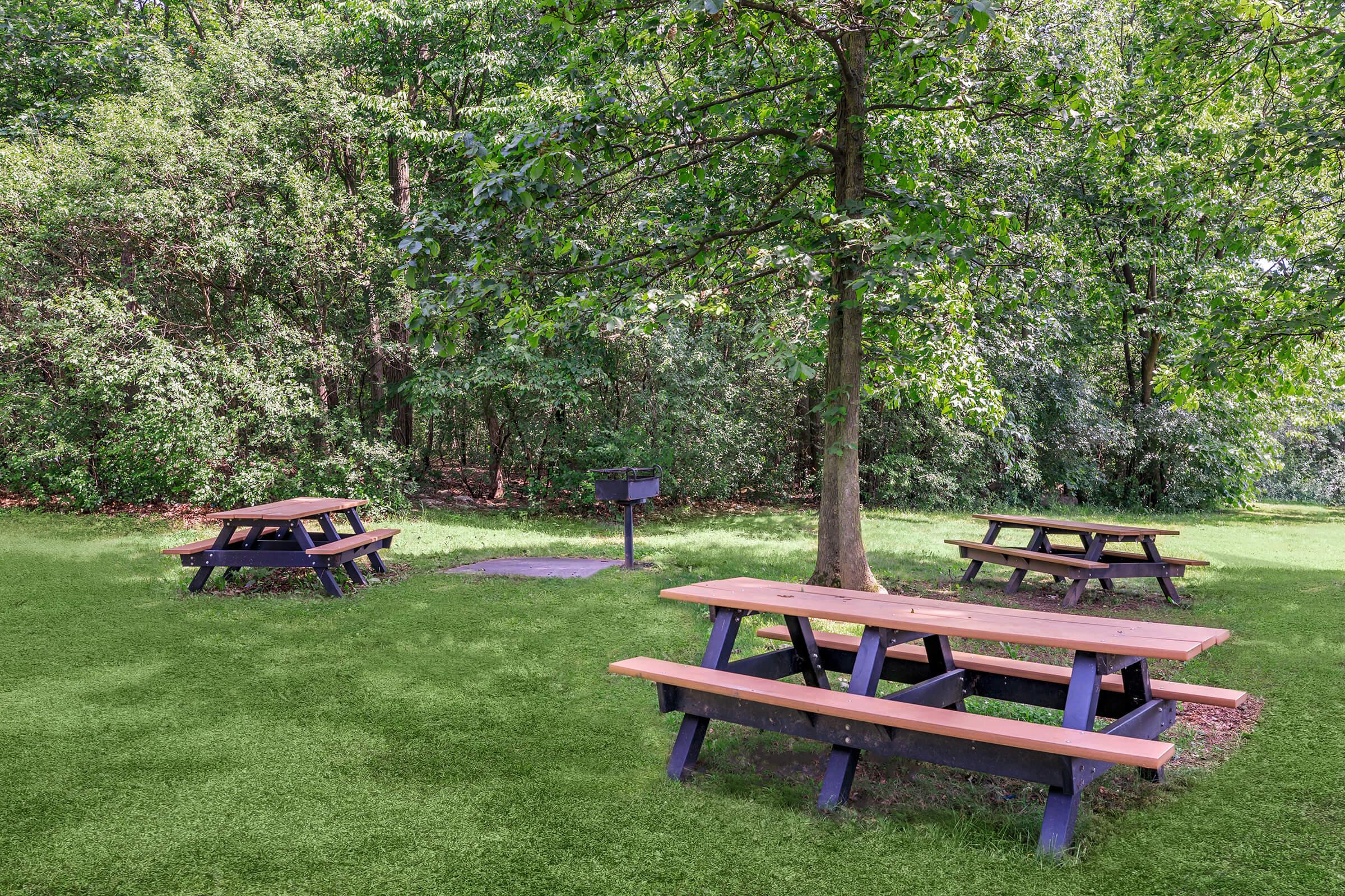 A picnic area in a park featuring several wooden picnic tables arranged under a large green tree. A grill is located nearby on a flat surface, surrounded by lush greenery and trees in the background, creating a serene outdoor setting.
